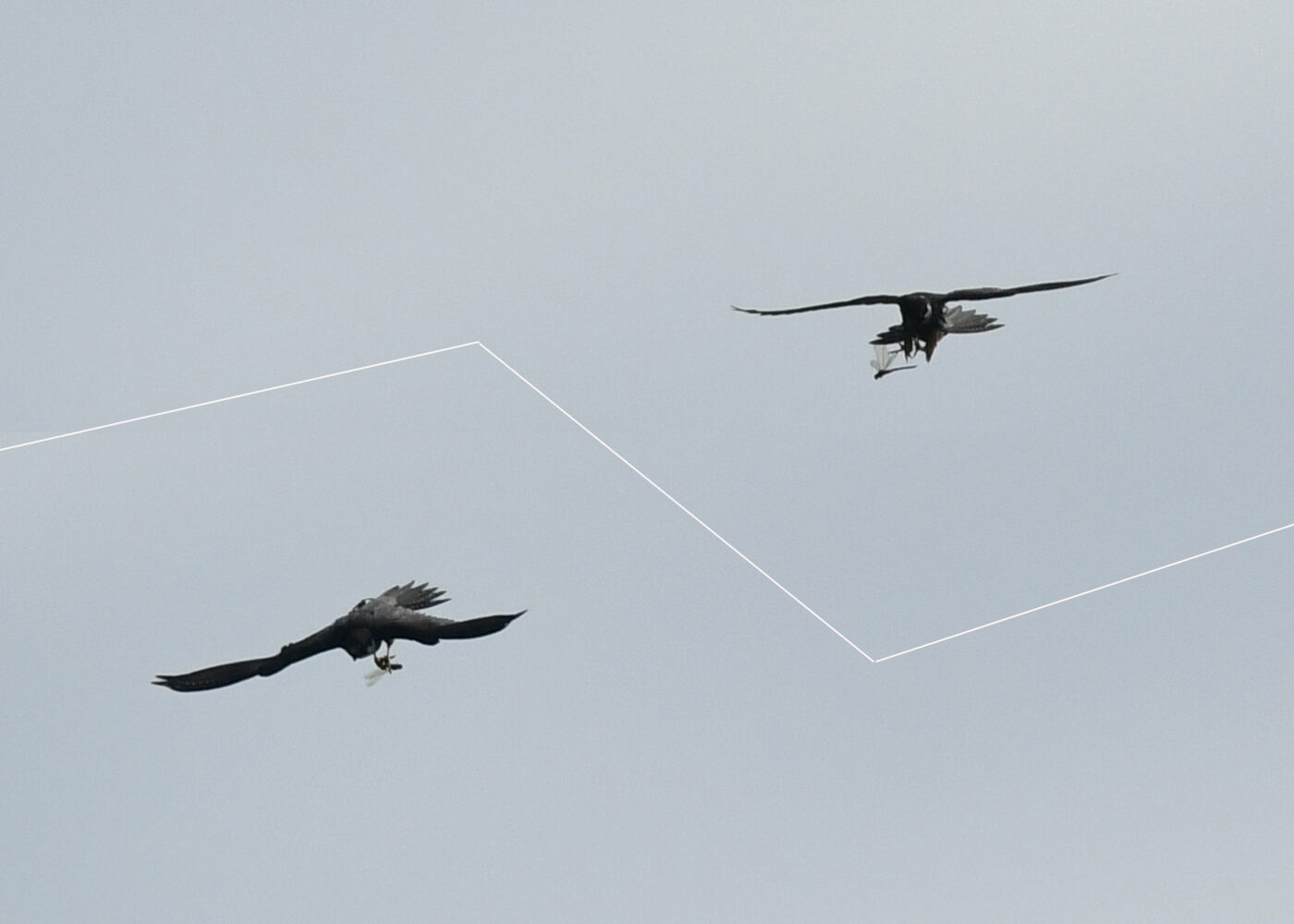 Valokuvaaja: Matti Manninen