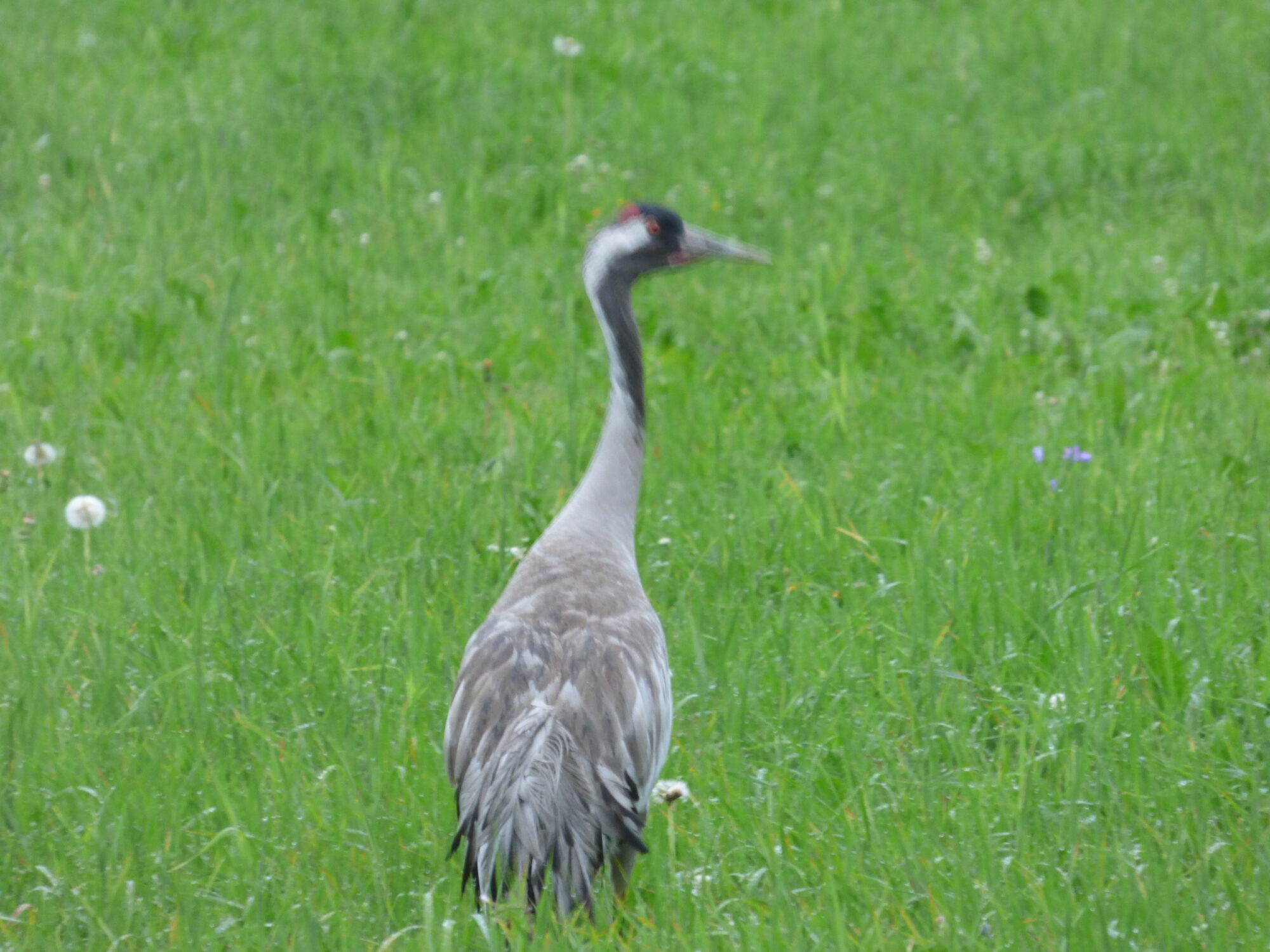 Valokuvaaja: Hannu Rissanen