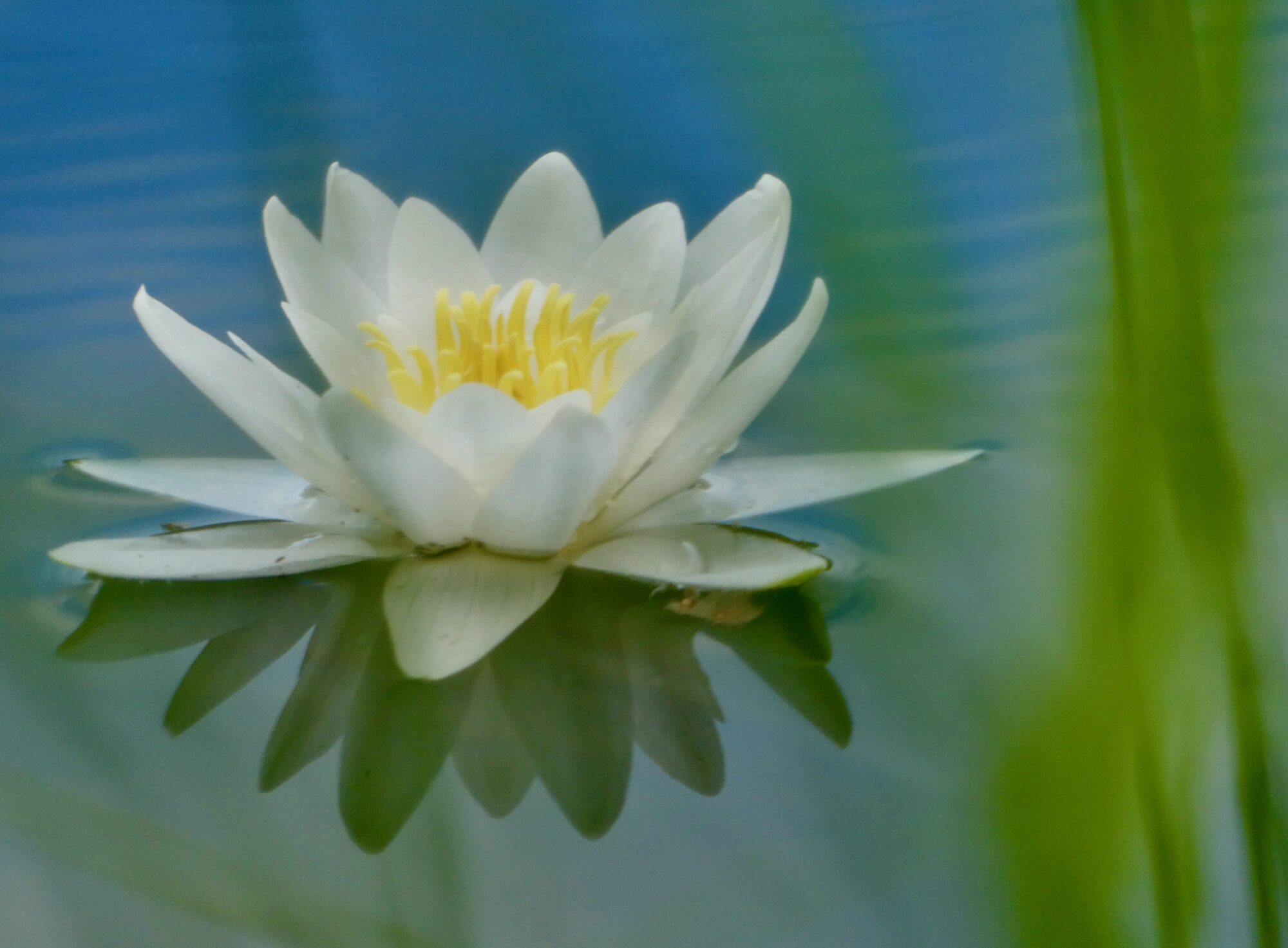 Valokuvaaja: Liisa Niiva-Korpela