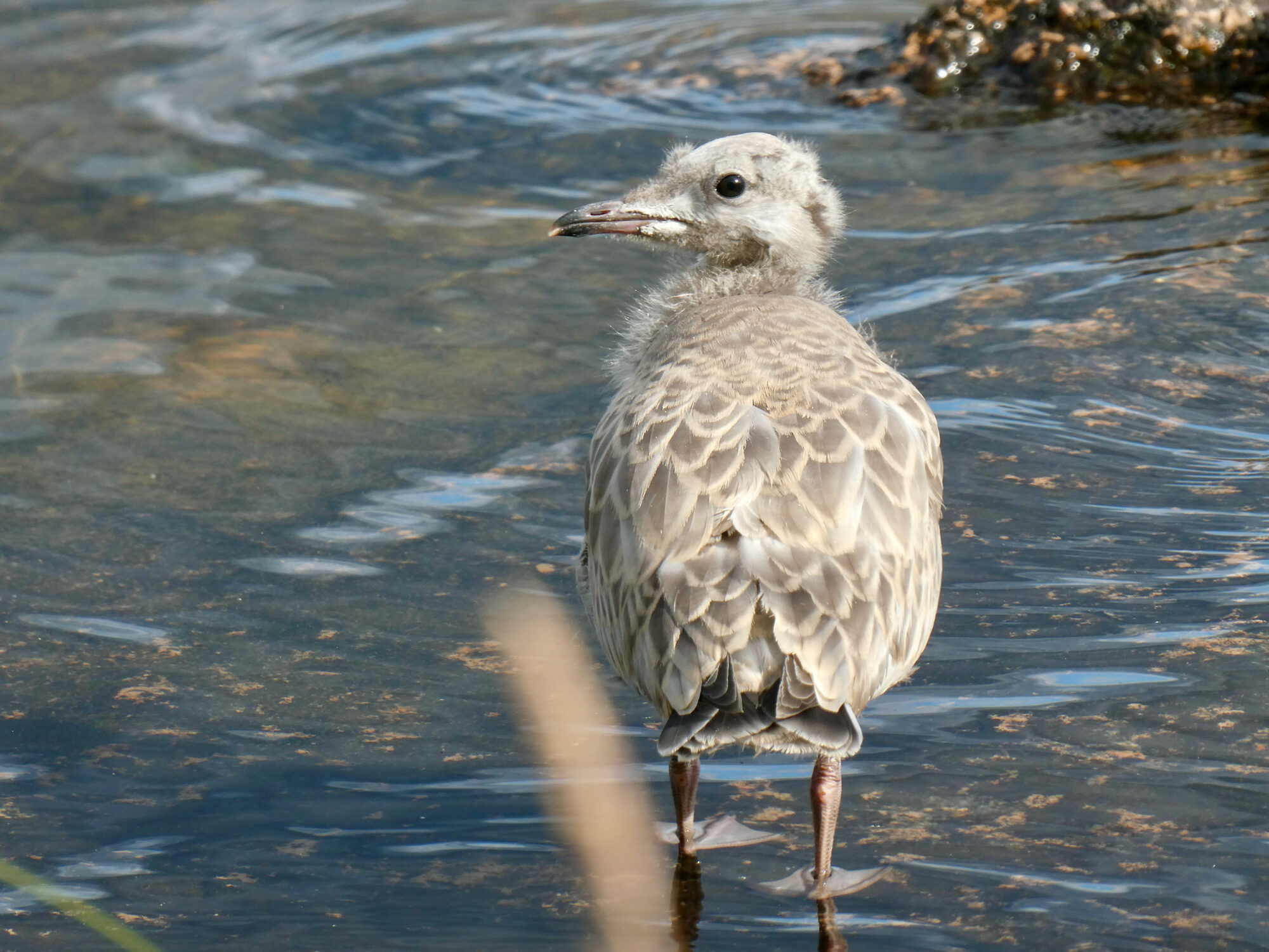 Valokuvaaja: Liisa Niiva-Korpela