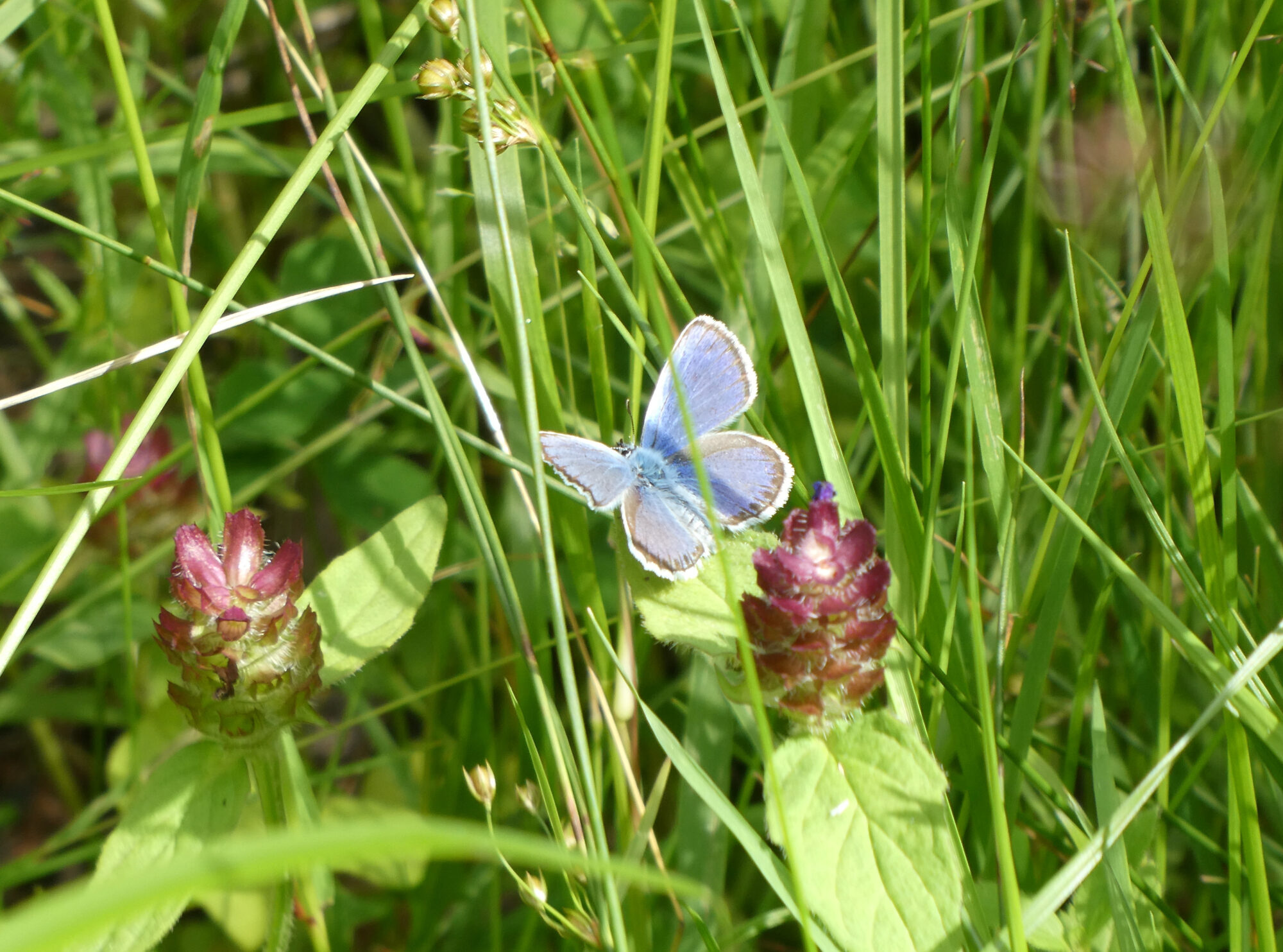 Valokuvaaja: Liisa Niiva-Korpela