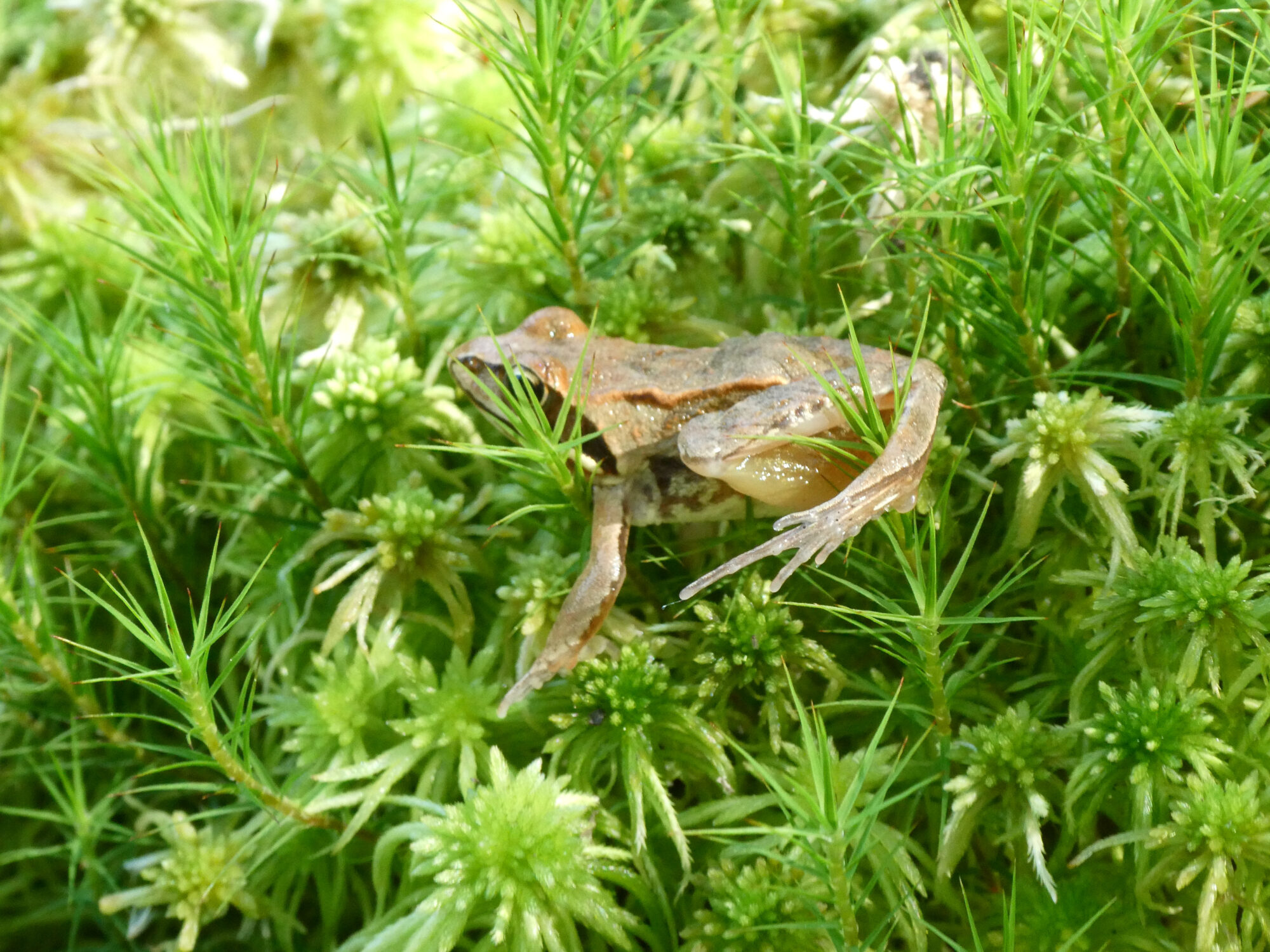 Valokuvaaja: Liisa Niiva-Korpela