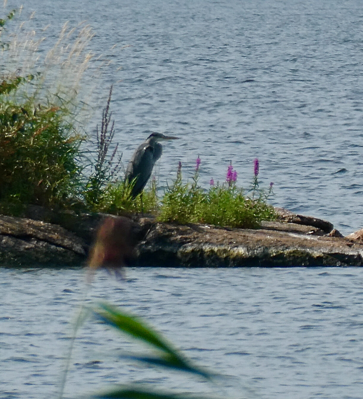 Valokuvaaja: Liisa Niiva-Korpela