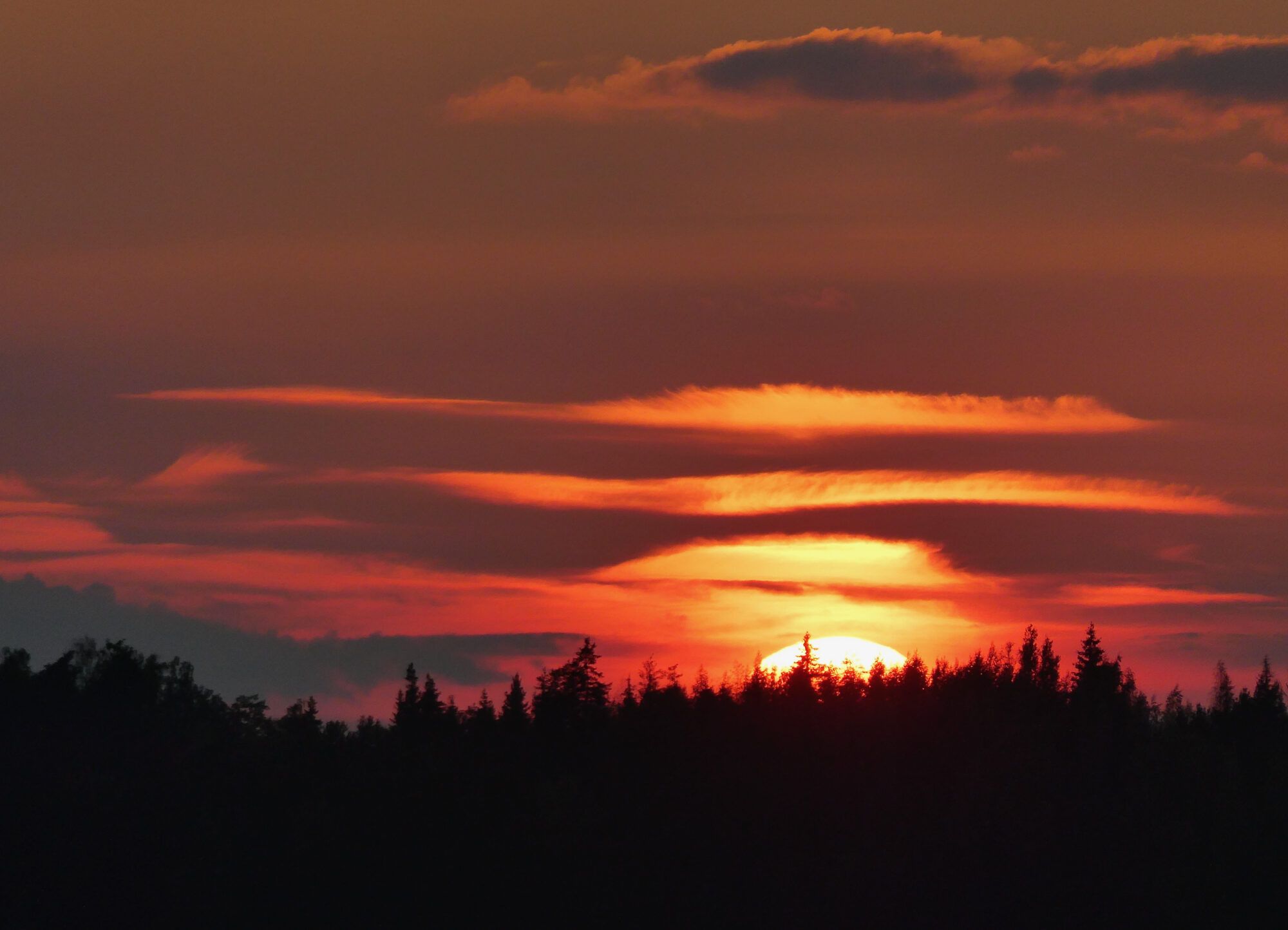 Valokuvaaja: Liisa Niiva-Korpela