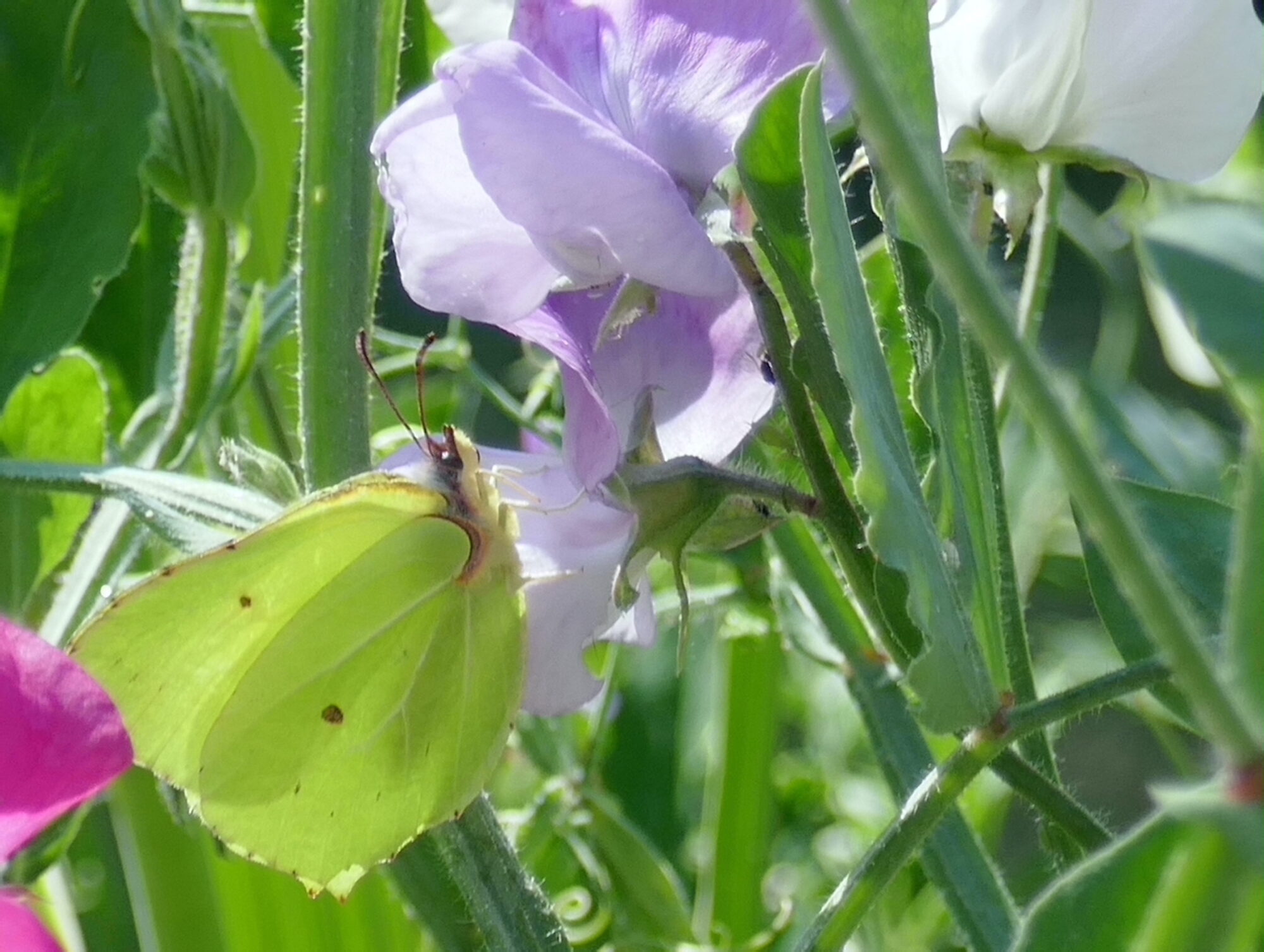 Valokuvaaja: Marjut Ikonen