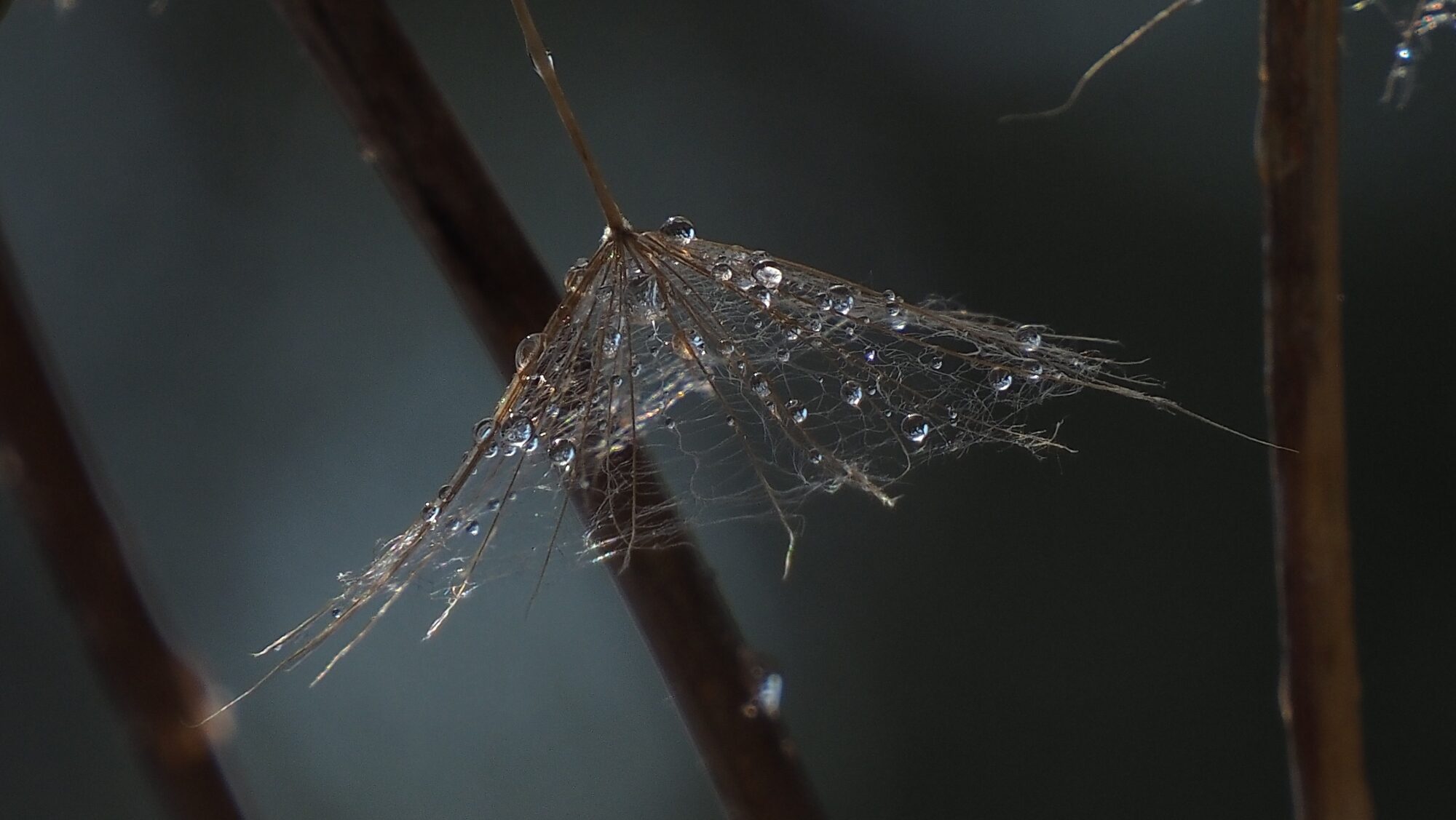 Valokuvaaja: Arja Valtonen