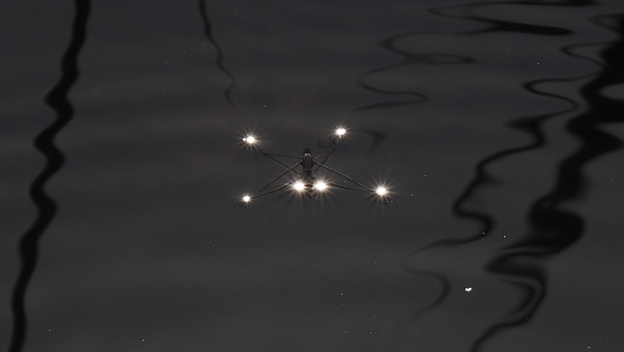 Valokuvaaja: Arja Valtonen