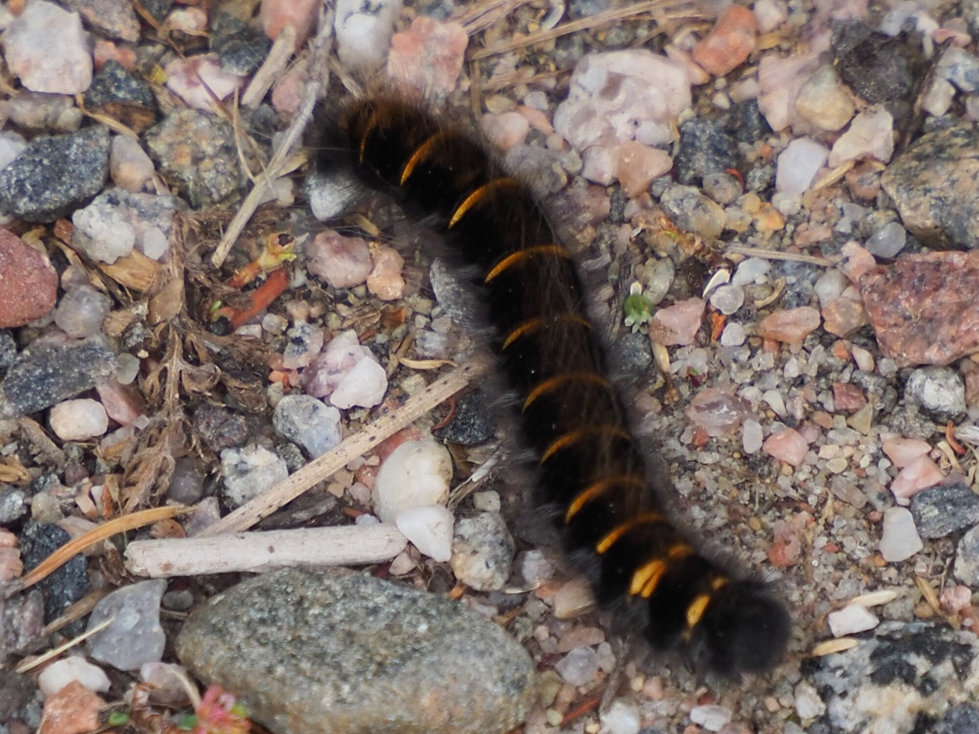 Valokuvaaja: Martti Valtonen