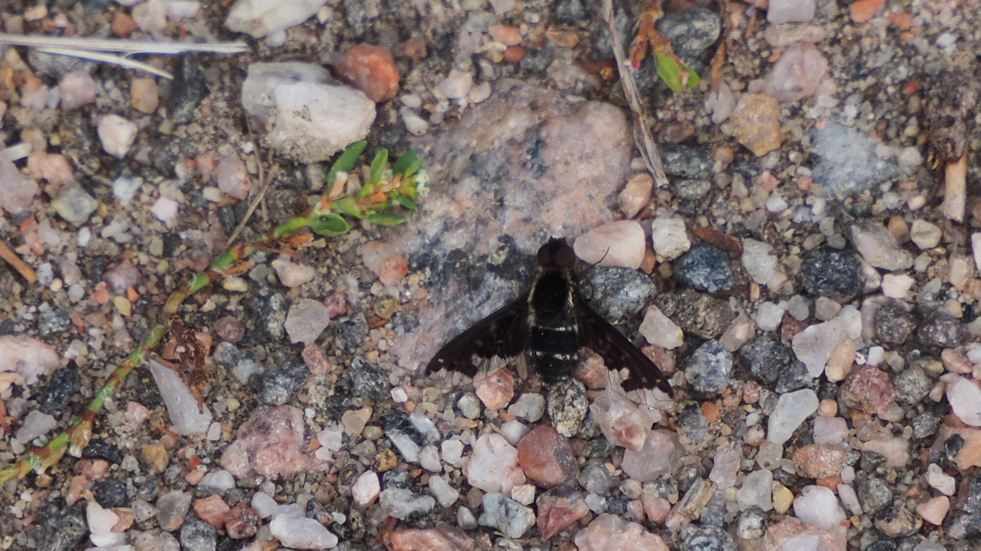 Valokuvaaja: Martti Valtonen