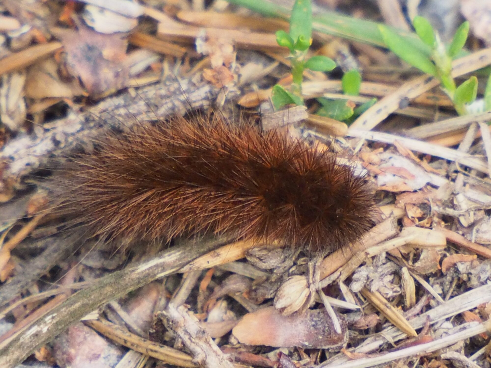 Valokuvaaja: Martti Valtonen
