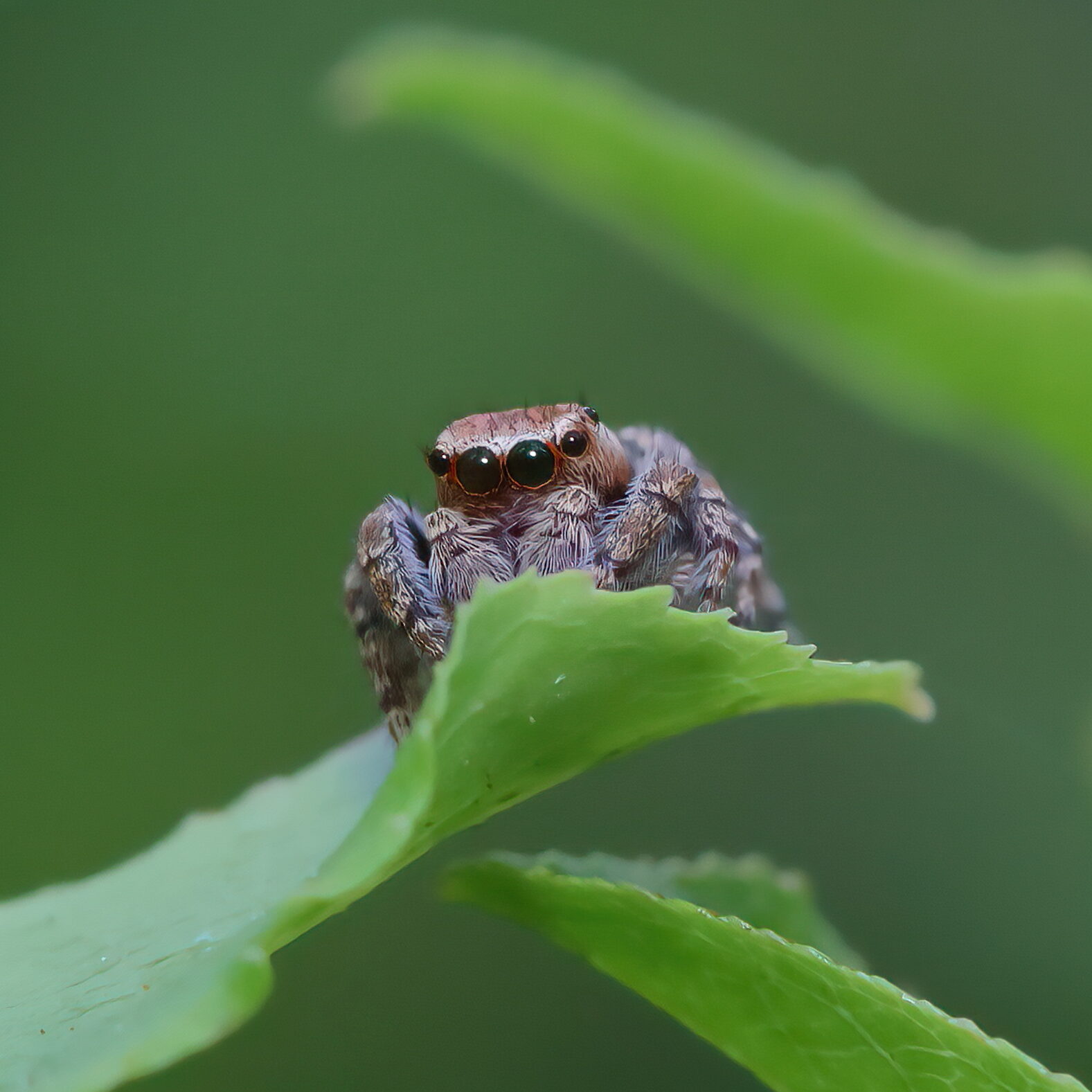 Valokuvaaja: Janne Salomeri