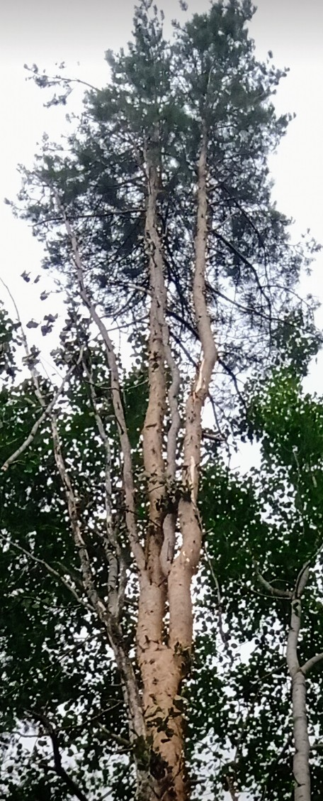 Valokuvaaja: Eero Paalijärvi Valokuvaaja: Eero Paalijärvi