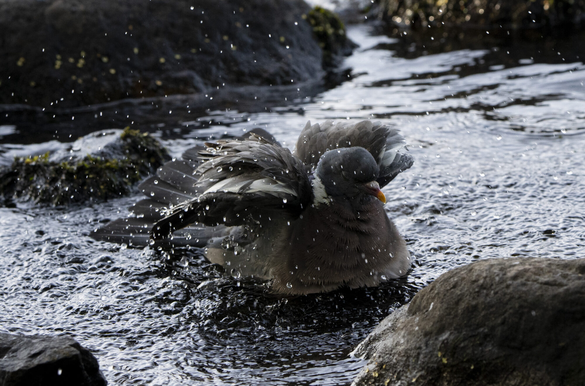 Valokuvaaja: Eero Peltonen