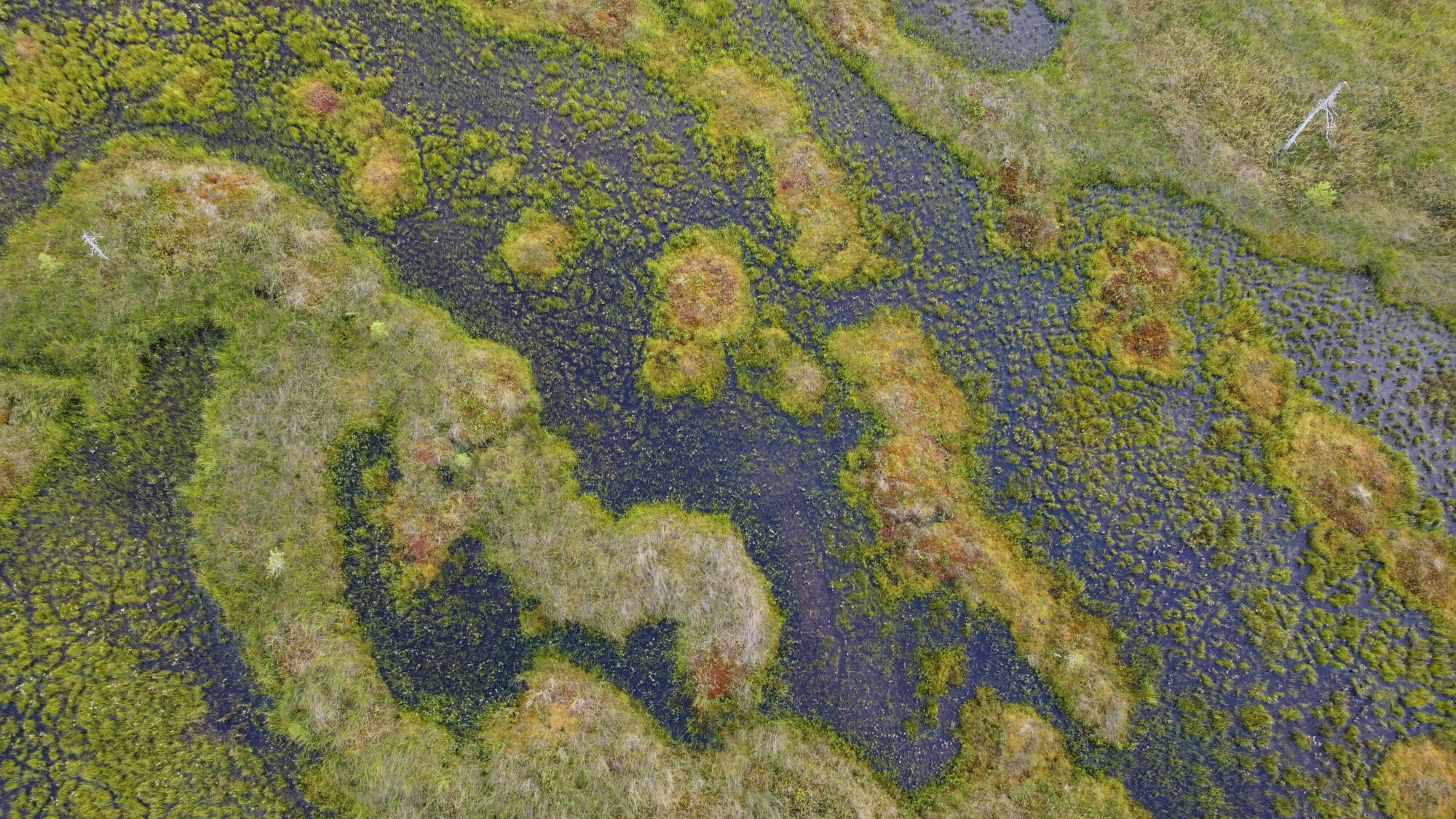 Valokuvaaja: Tommi Kujala