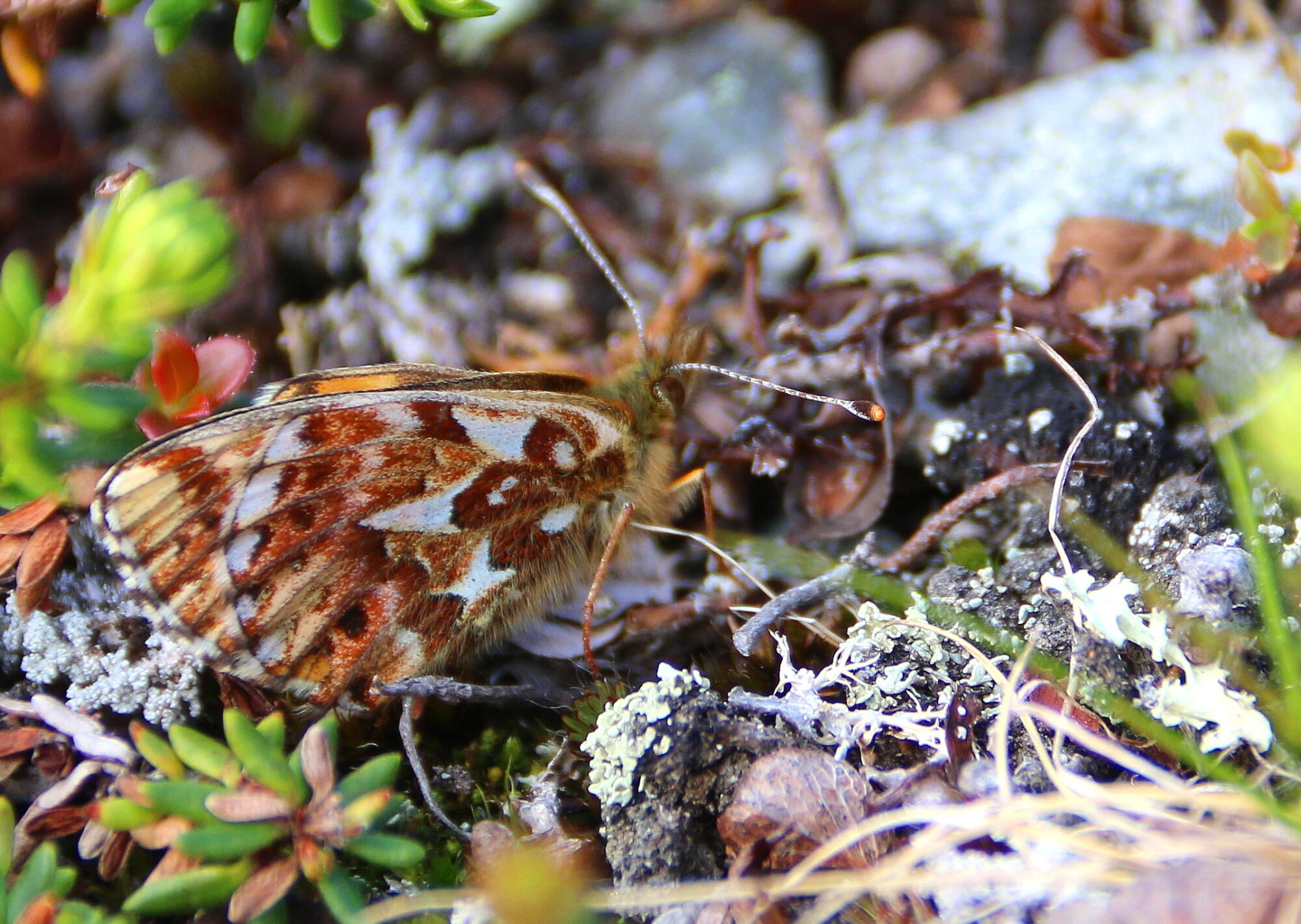 Valokuvaaja: Tuukka Pahtamaa