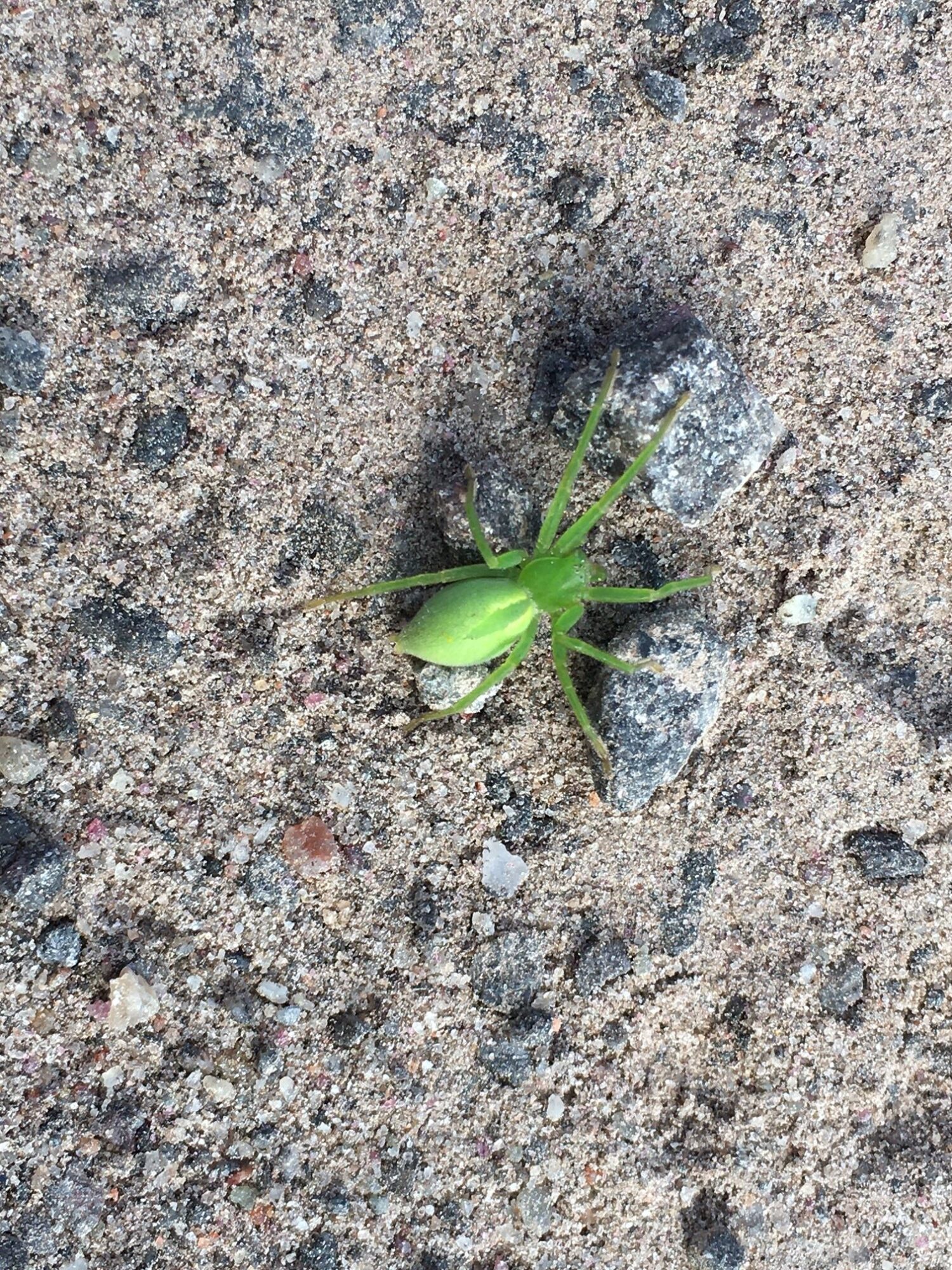 Valokuvaaja: Beata Taijala