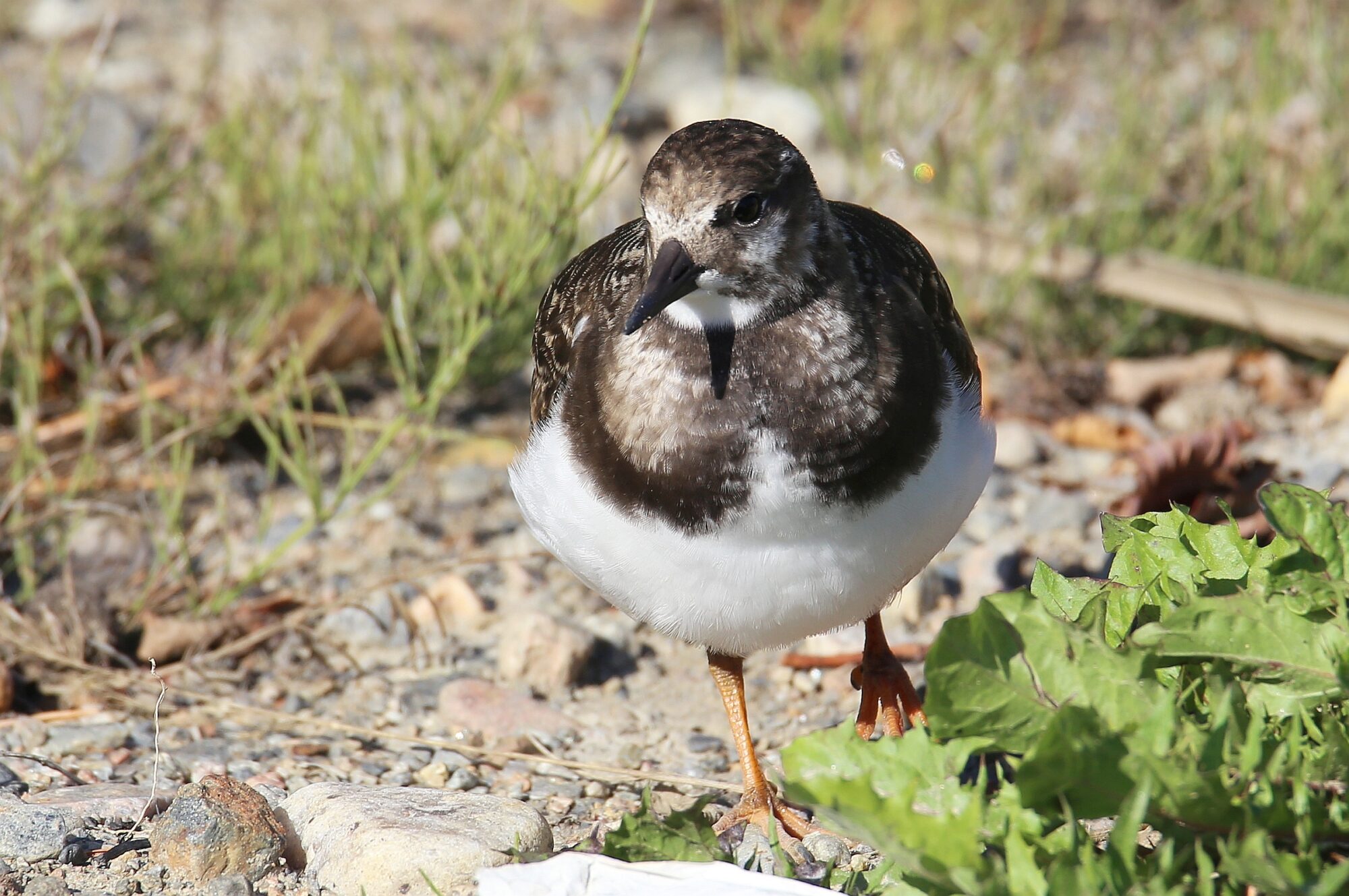Valokuvaaja: Jaana Saarelainen