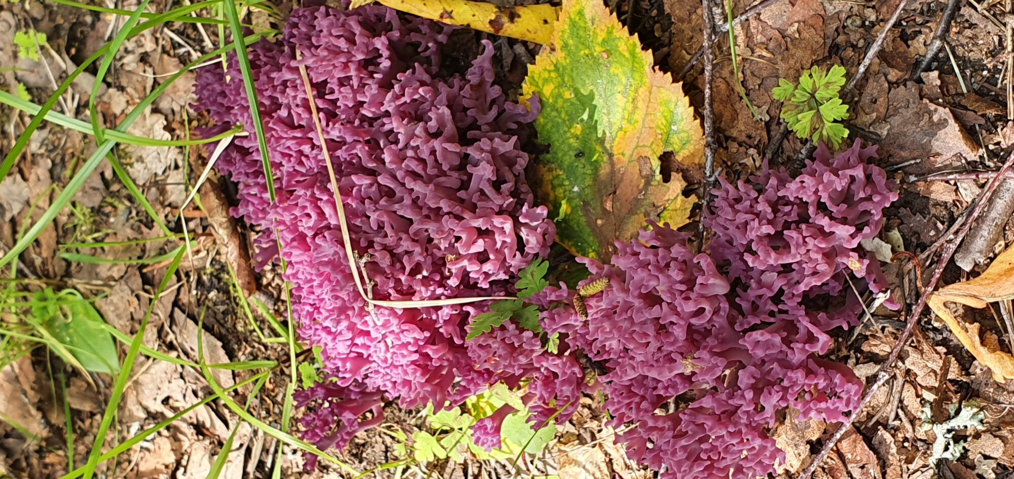 Valokuvaaja: Ulpu Leskelä