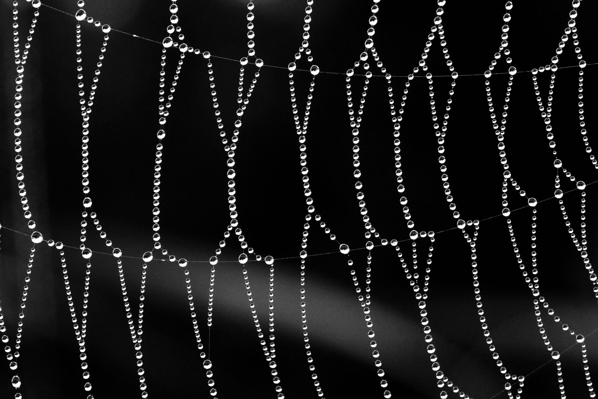 Valokuvaaja: Juhani Harkas