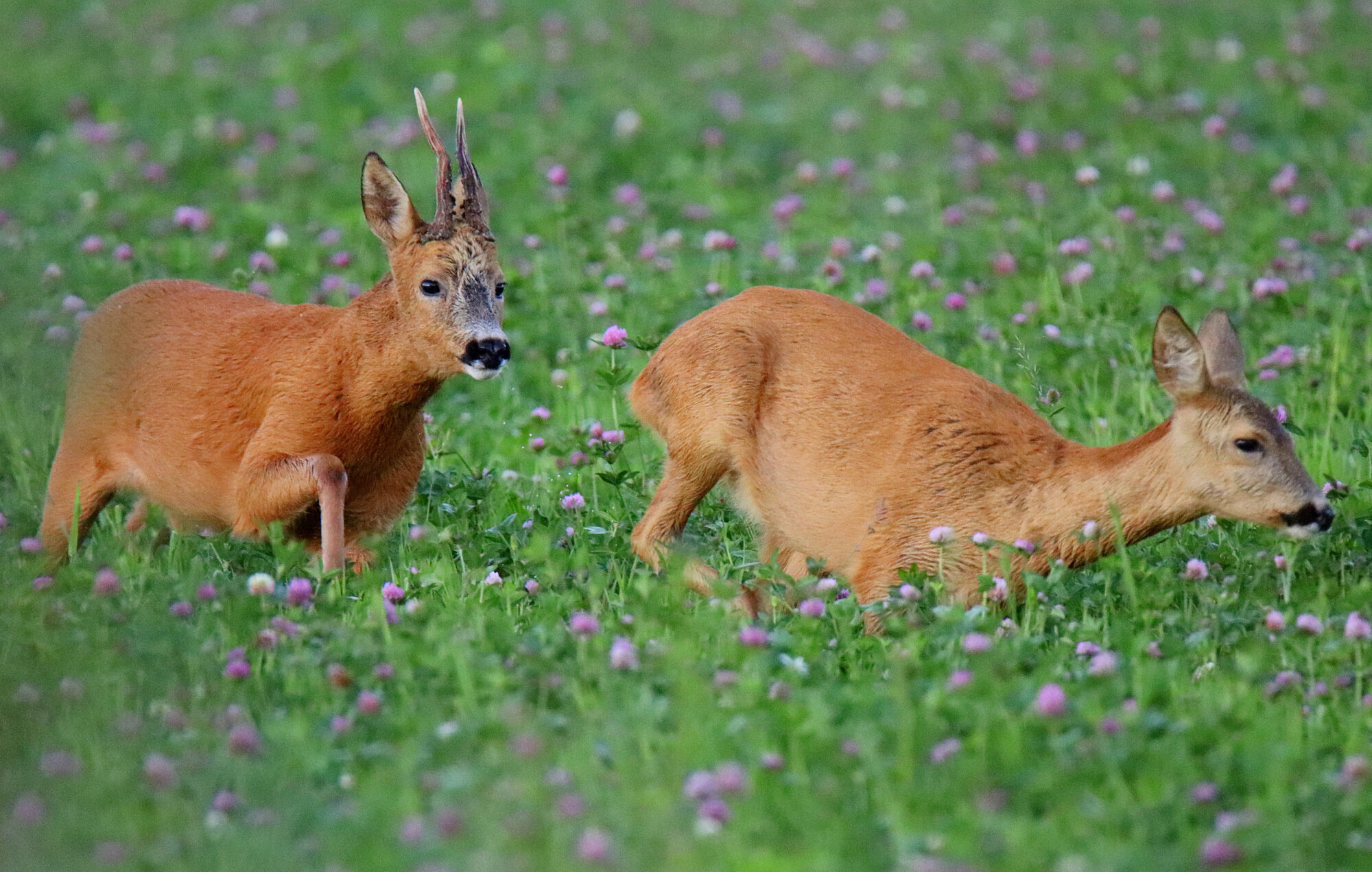 Valokuvaaja: sirpa jyske