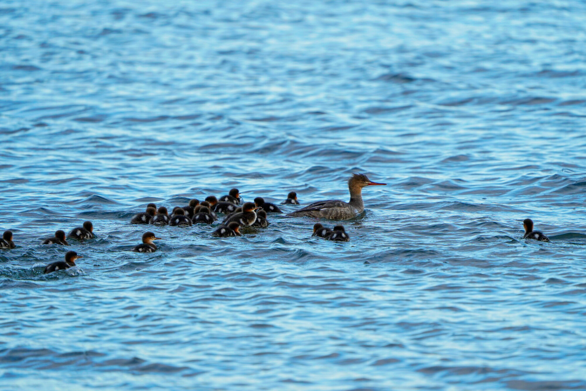 Valokuvaaja: Elina Rajala Valokuvaaja: Elina Rajala