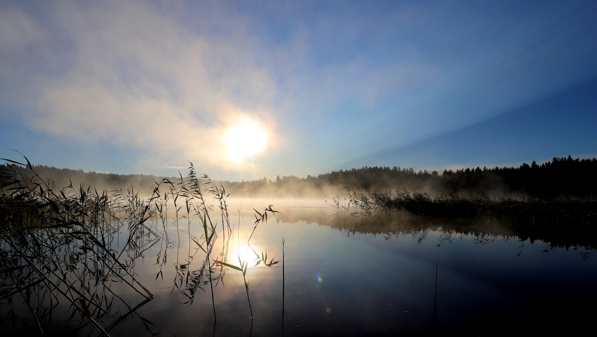 Valokuvaaja: sirpa Jyske