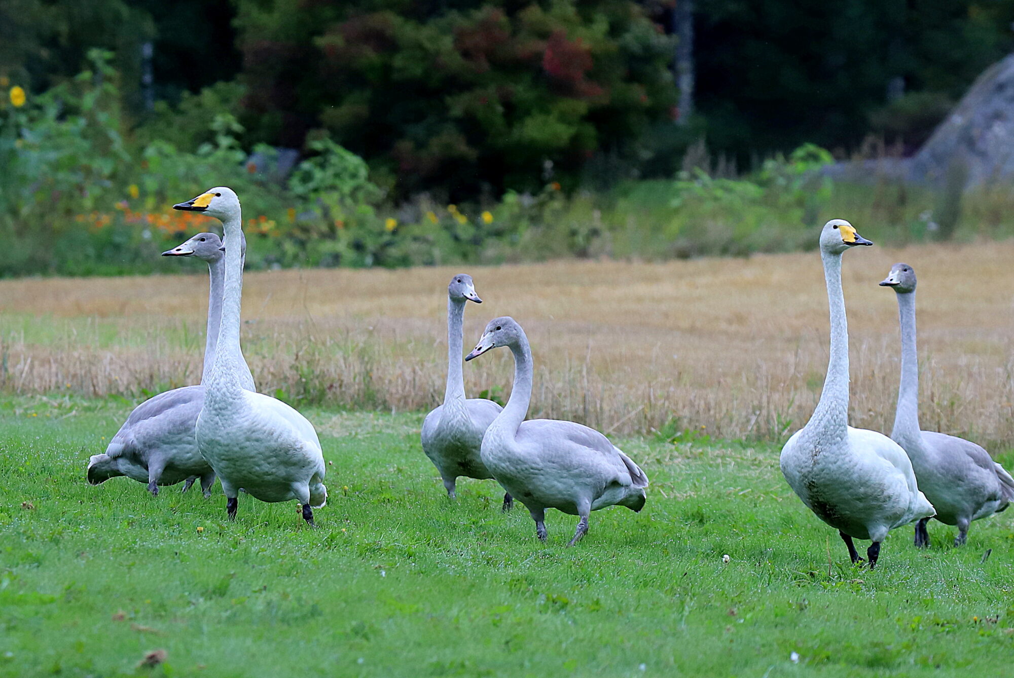 Valokuvaaja: sirpa Jyske Valokuvaaja: sirpa Jyske