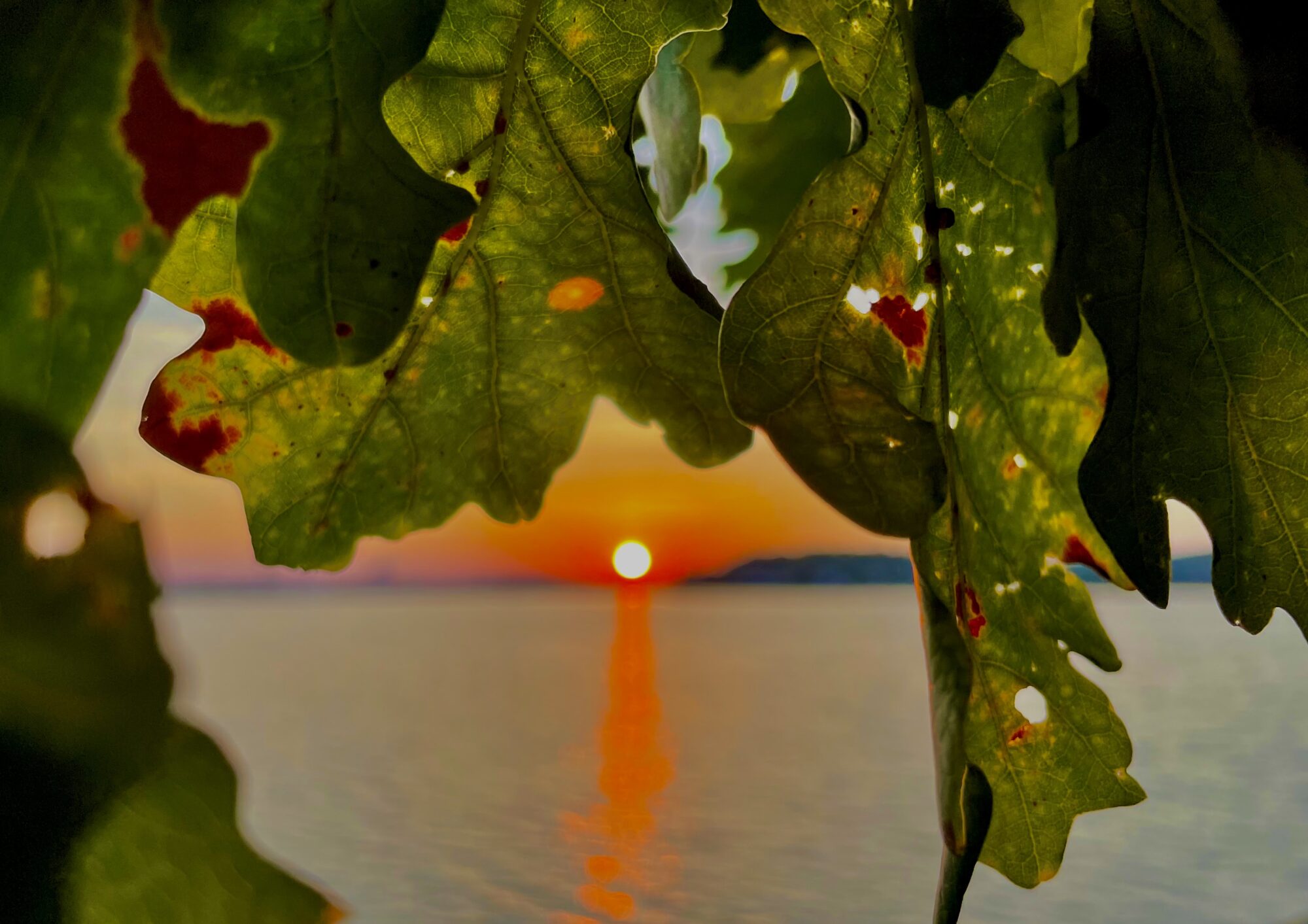 Valokuvaaja: Juhani Peltonen