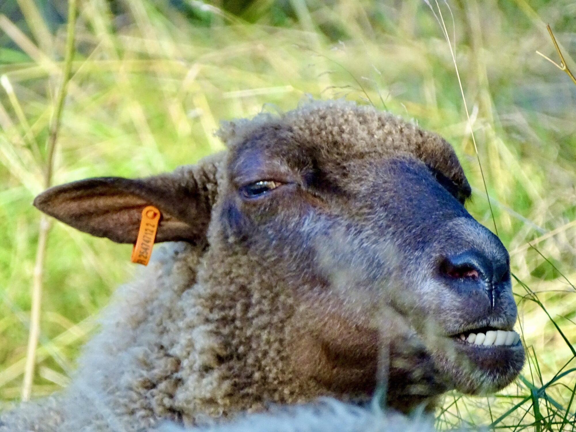 Valokuvaaja: Juhani Peltonen