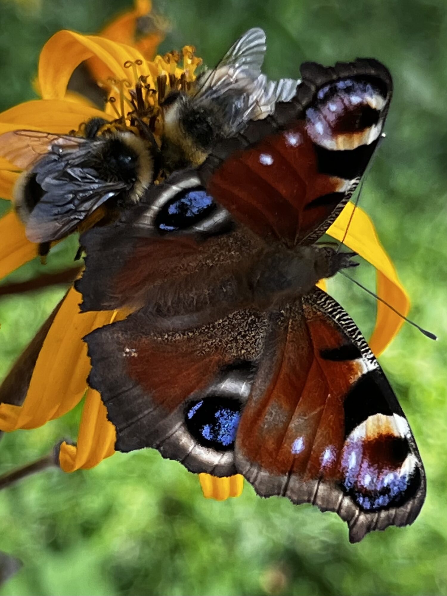 Valokuvaaja: Tuovi Tanskanen