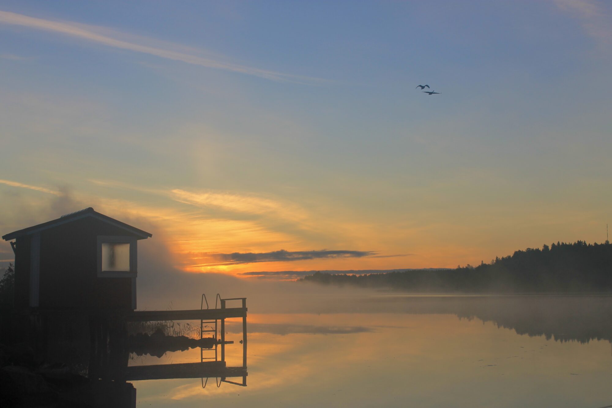 Valokuvaaja: Juhani Peltonen