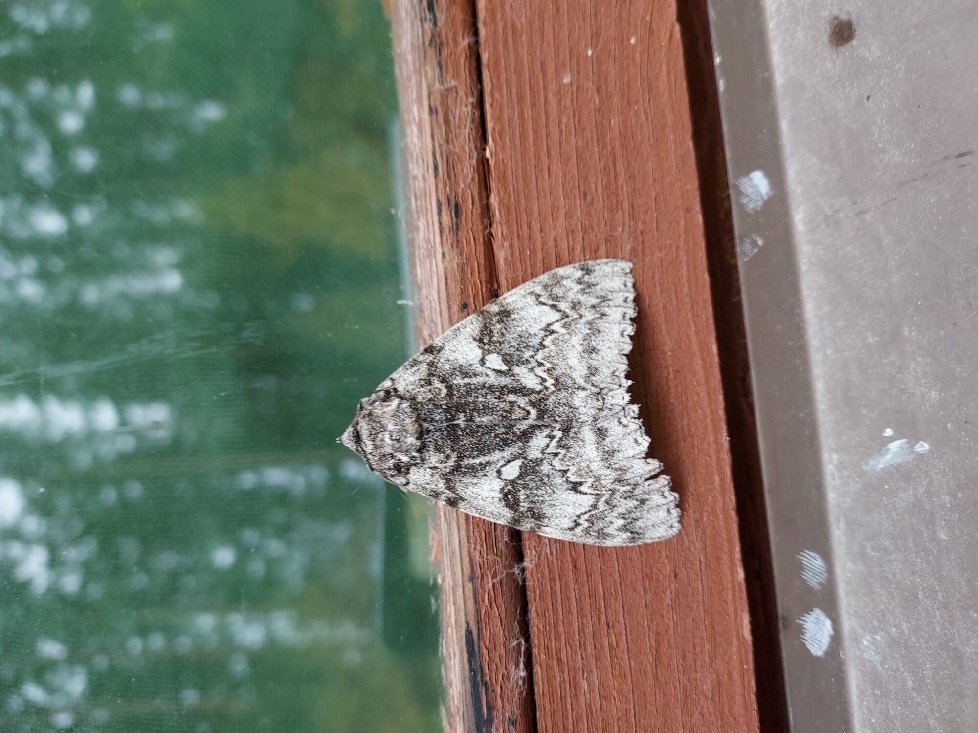 Valokuvaaja: Jukka Koskinen