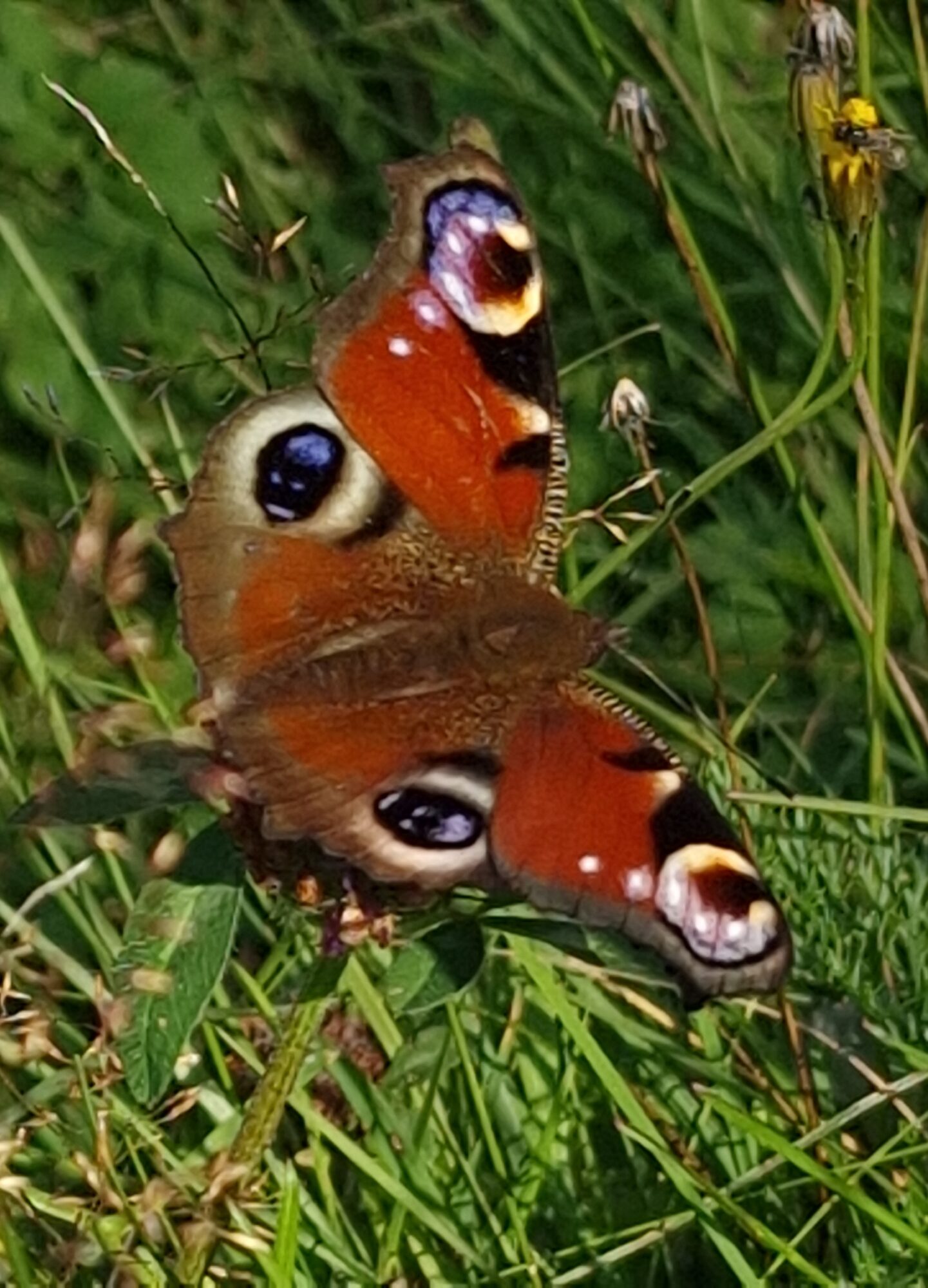 Valokuvaaja: Heli Sirkka