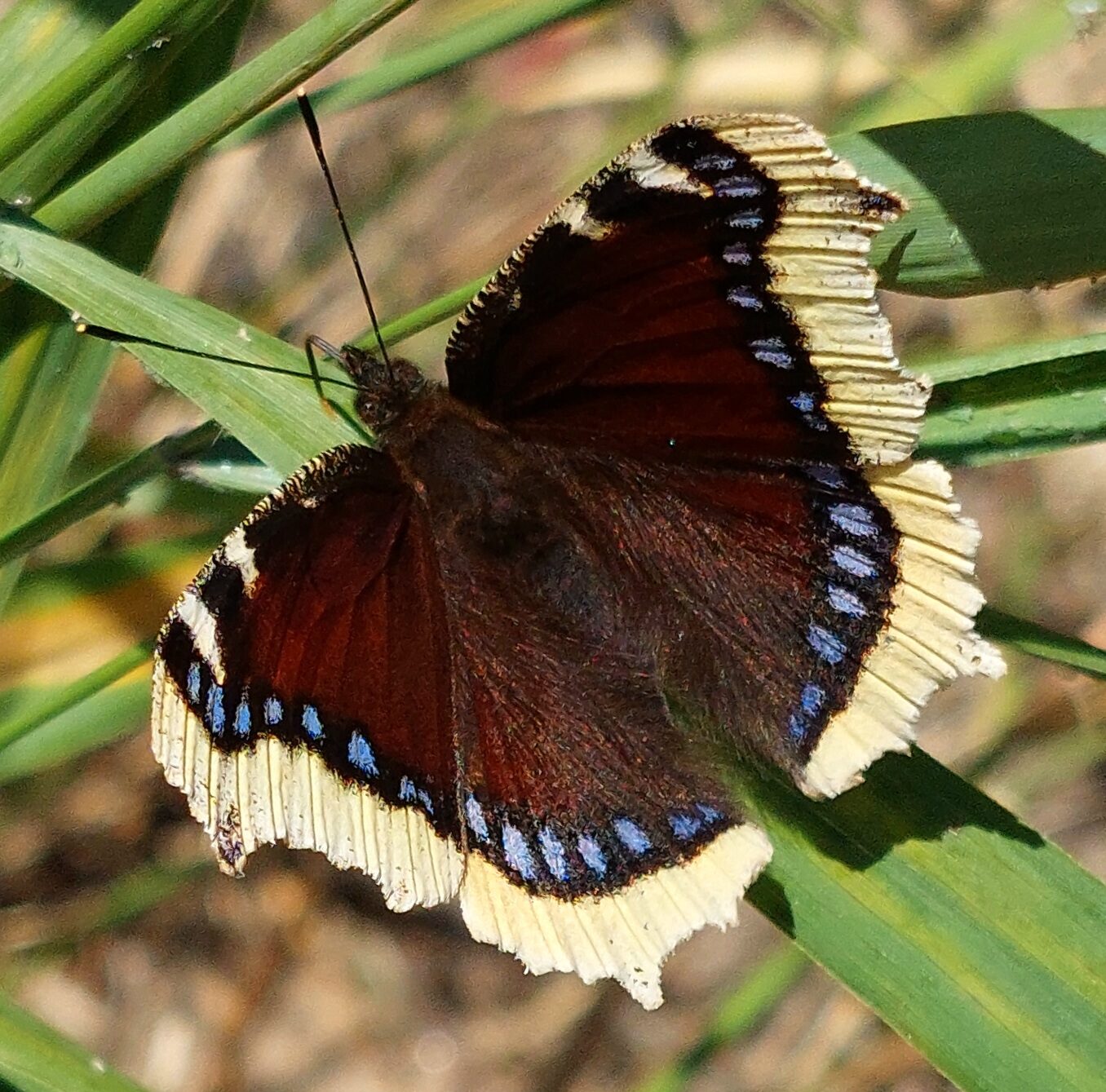 Valokuvaaja: Ville Tirilä