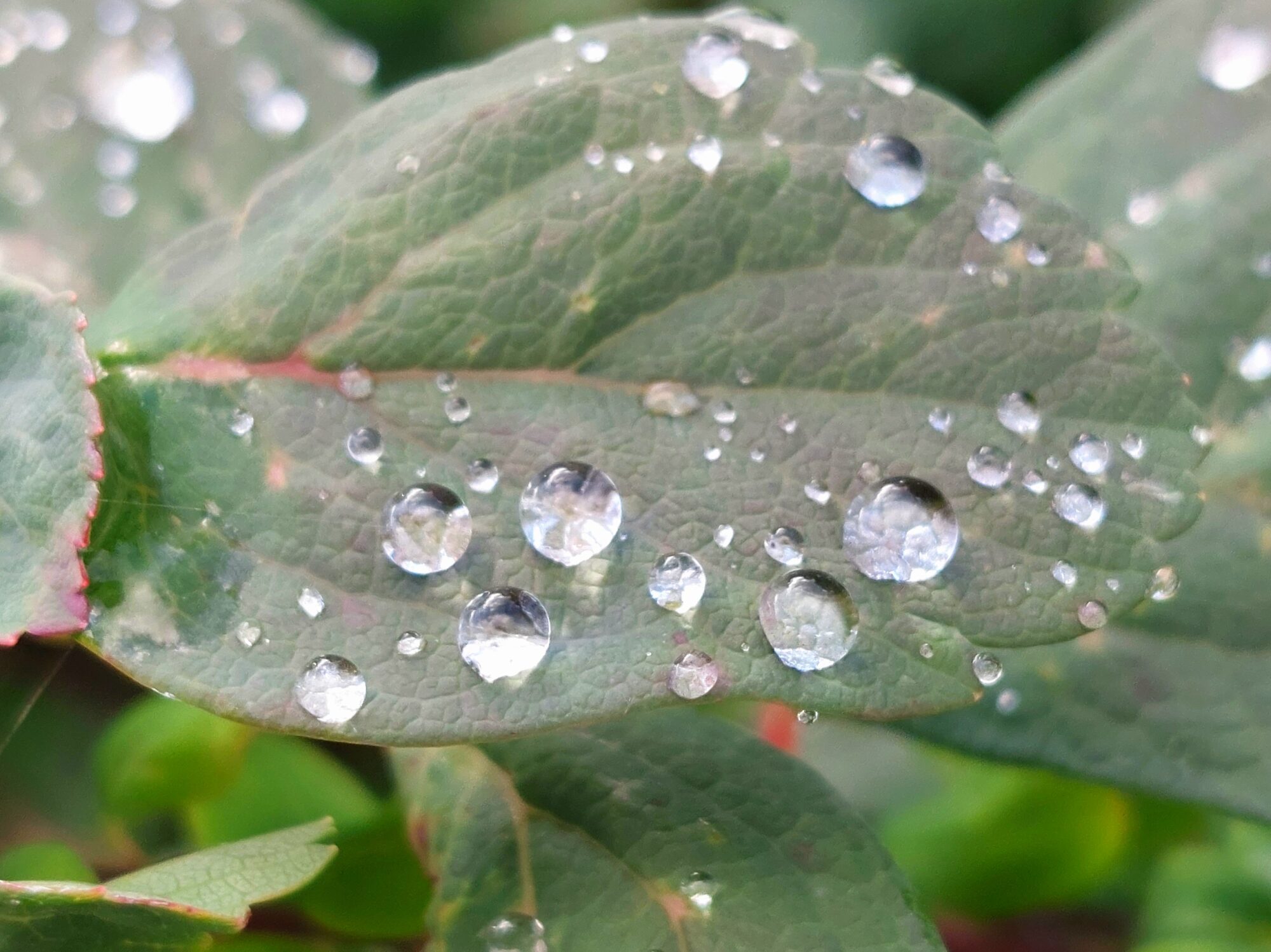 Valokuvaaja: Ville Tirilä