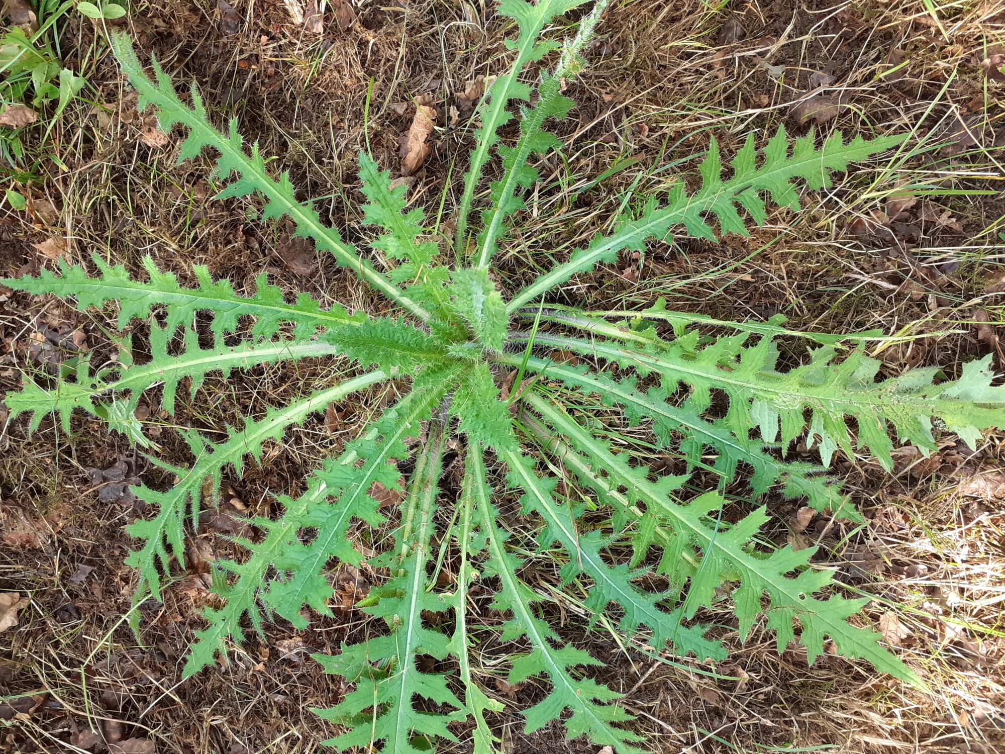 Valokuvaaja: Eeva-Liisa Ilvonen