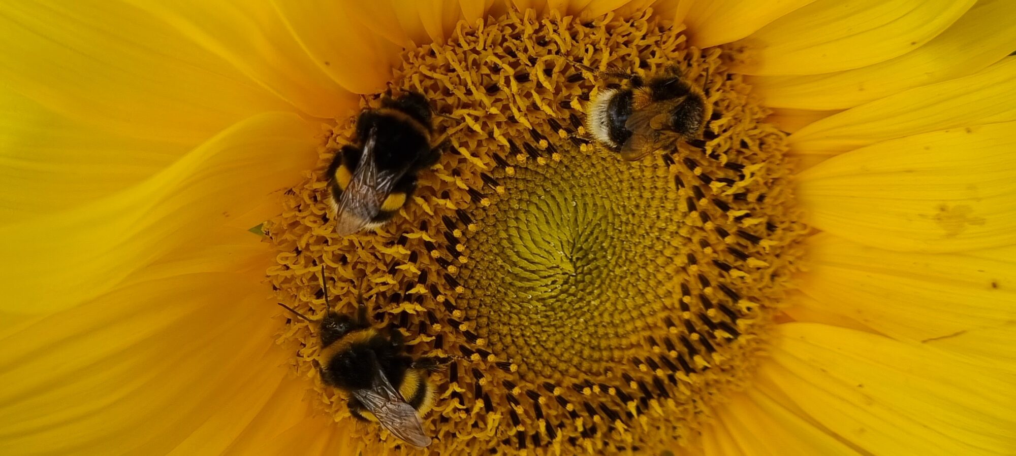 Valokuvaaja: Nina Repo Valokuvaaja: Nina Repo