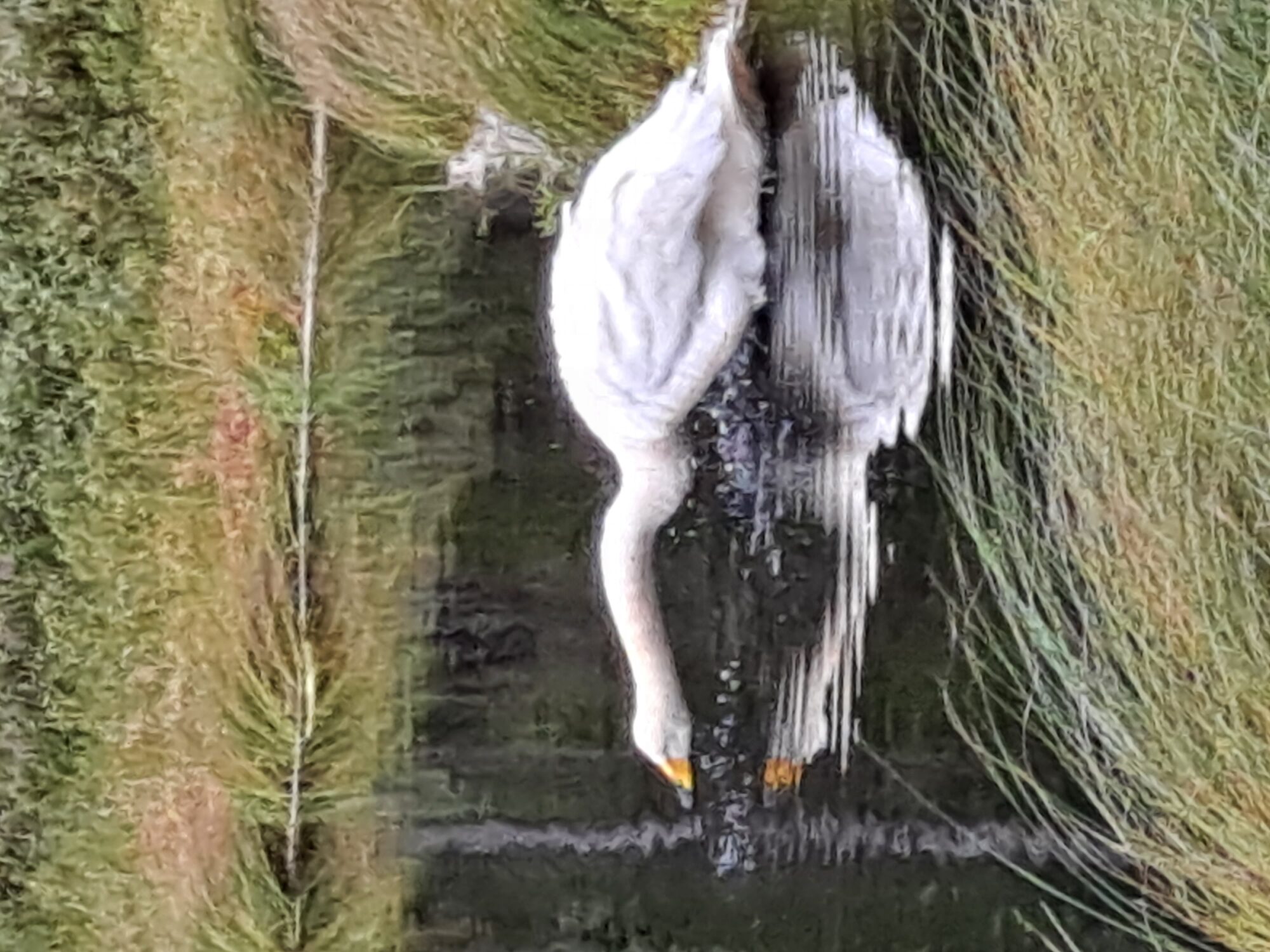 Valokuvaaja: Satu Suuntala Valokuvaaja: Satu Suuntala