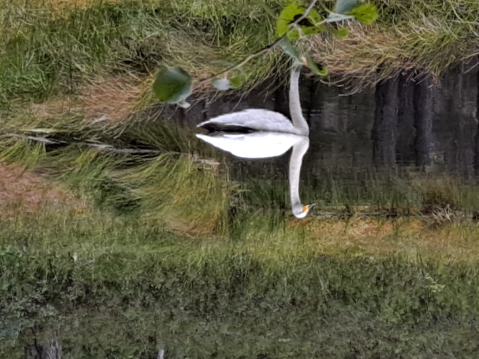 Valokuvaaja: Satu Suuntala