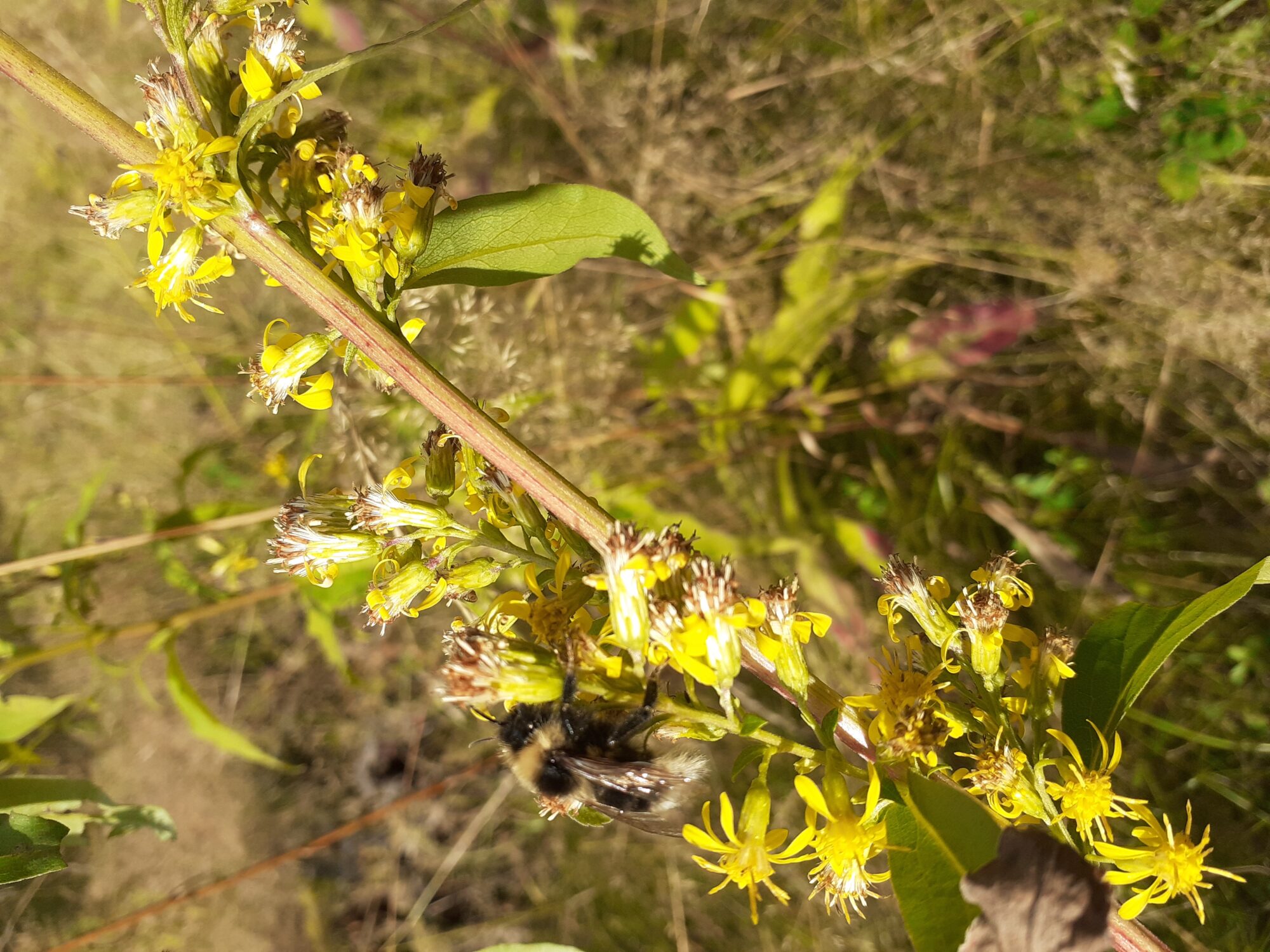 Valokuvaaja: Eeva-Liisa Ilvonen