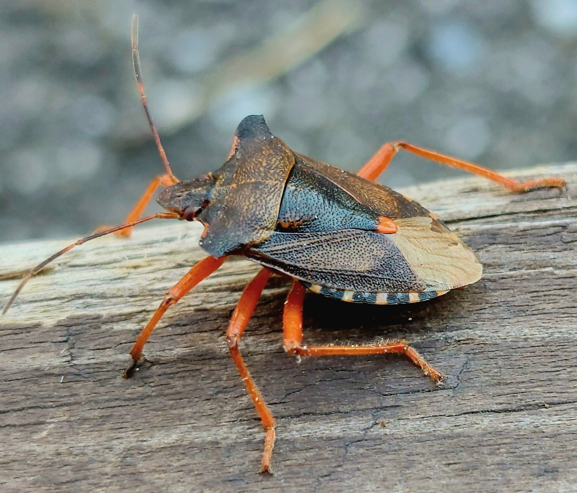 Valokuvaaja: Ville Tirilä