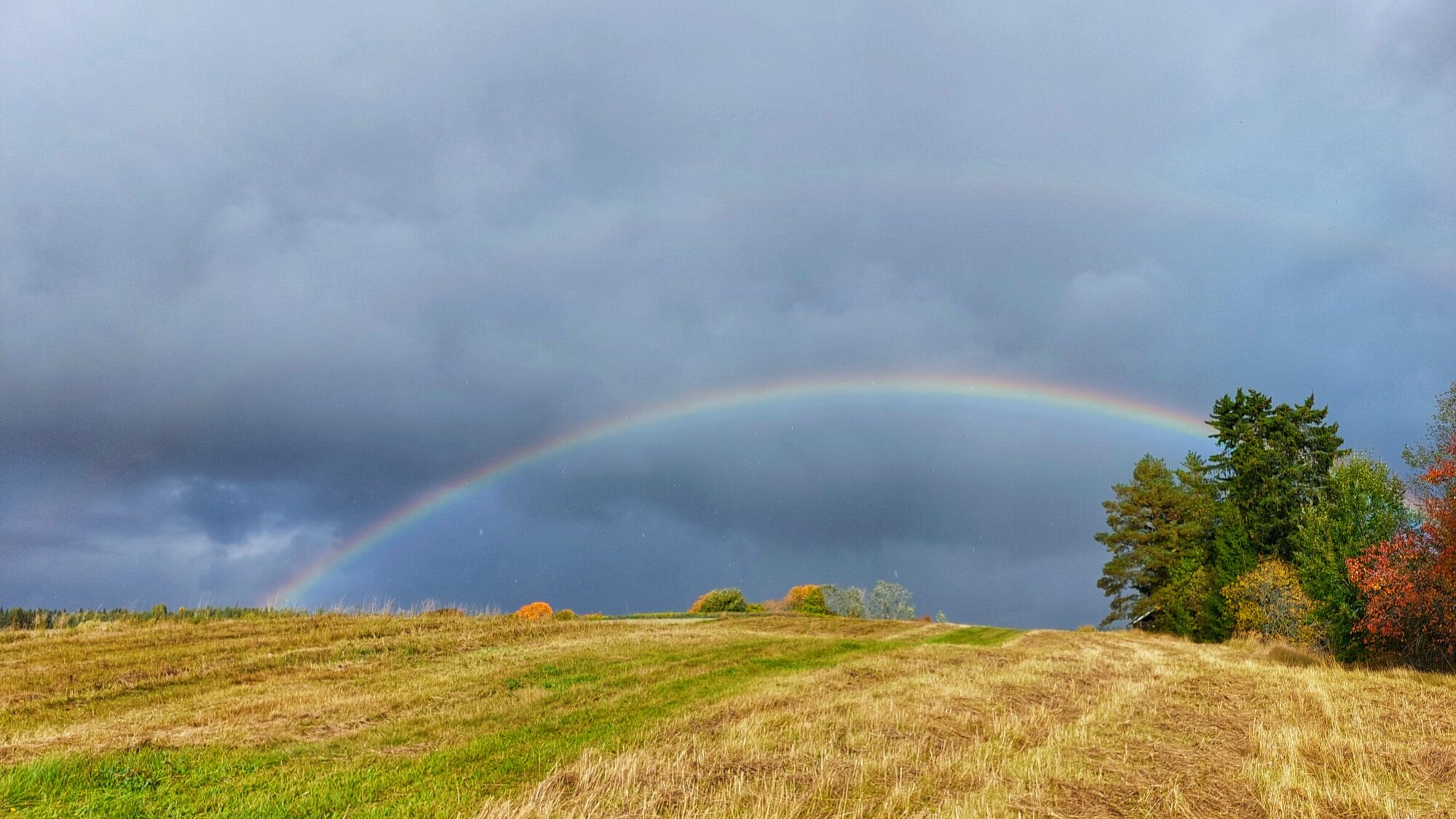 Valokuvaaja: Susanna Hannula