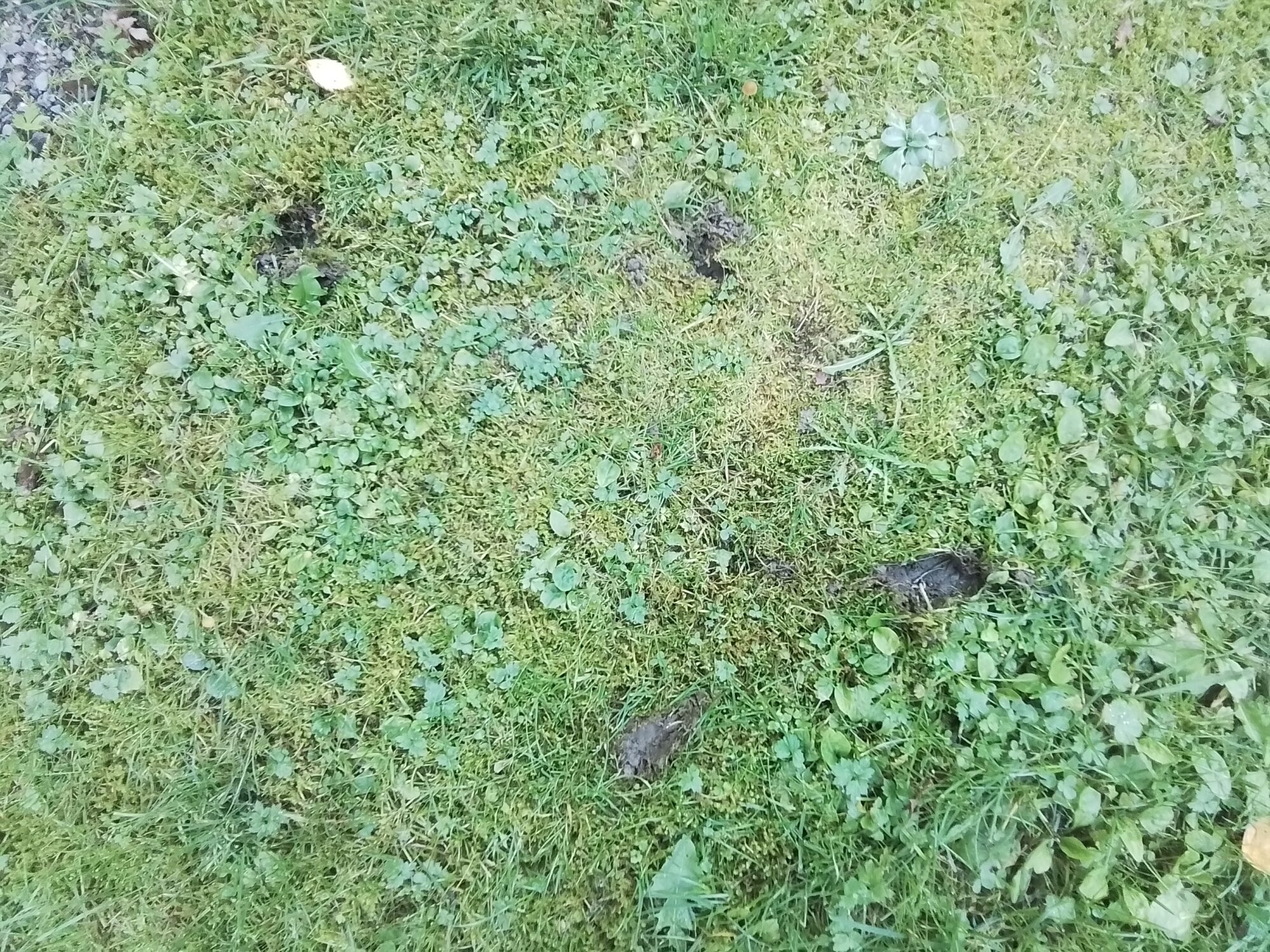 Valokuvaaja: Leena Nieminen