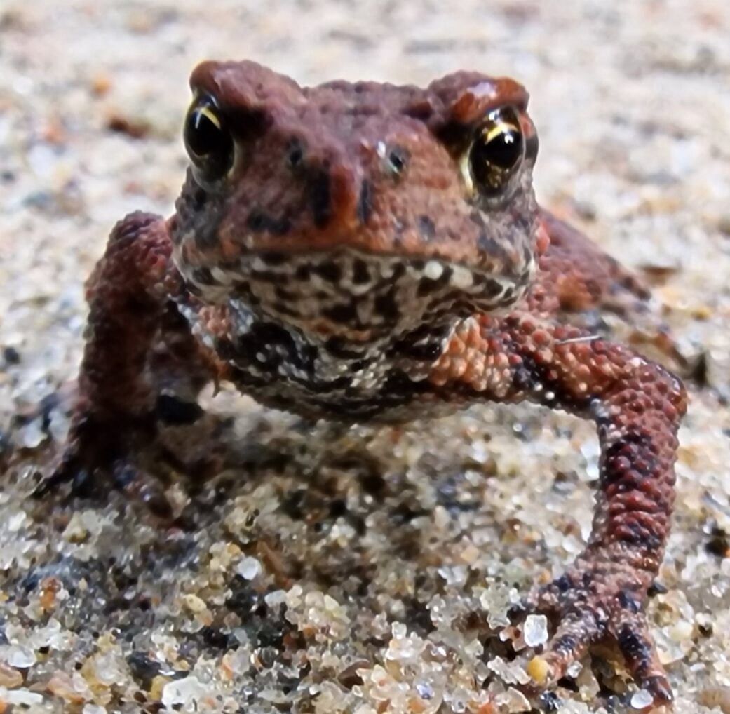 Valokuvaaja: Hanna Rönty