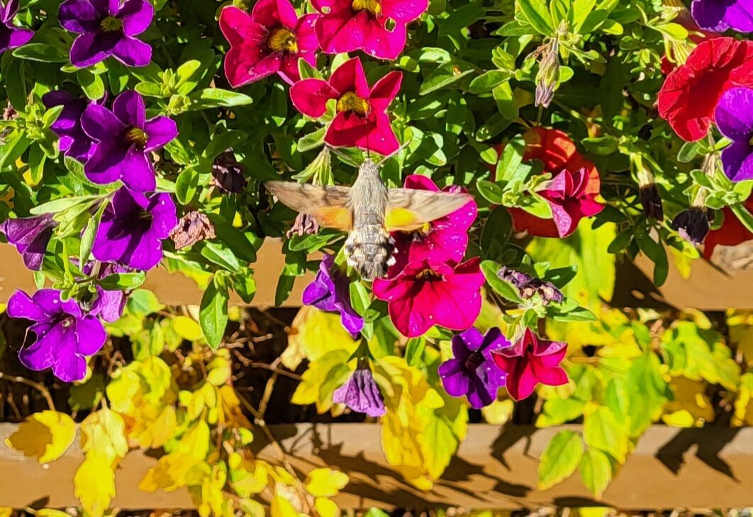 Valokuvaaja: sami toivonen Valokuvaaja: sami toivonen