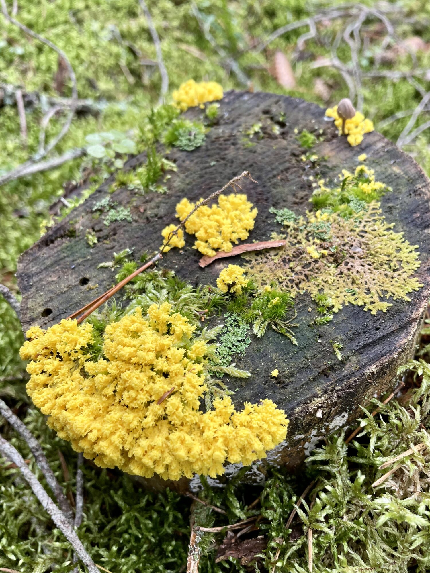 Valokuvaaja: Anja Korpela