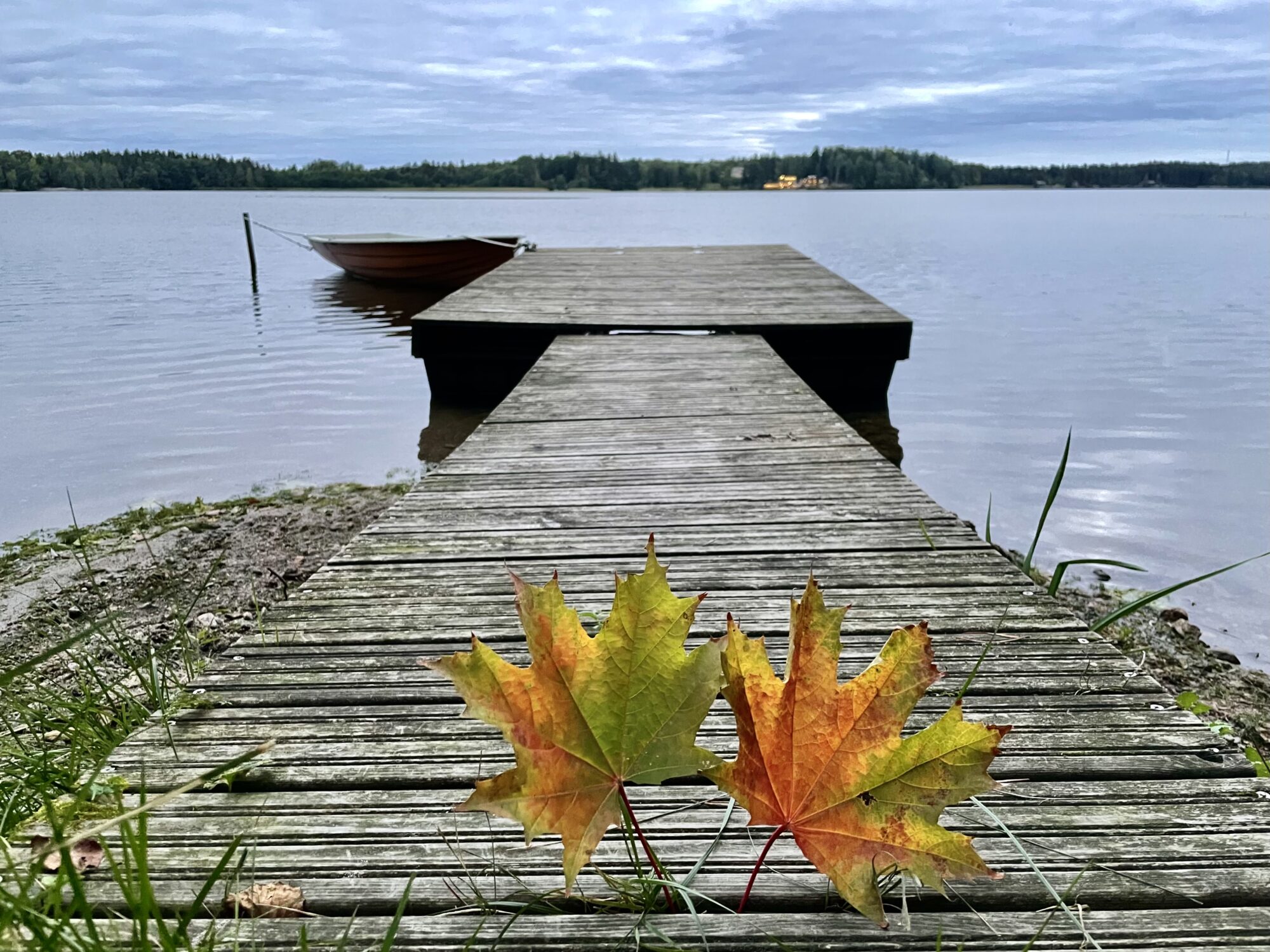 Valokuvaaja: Juhani Peltonen