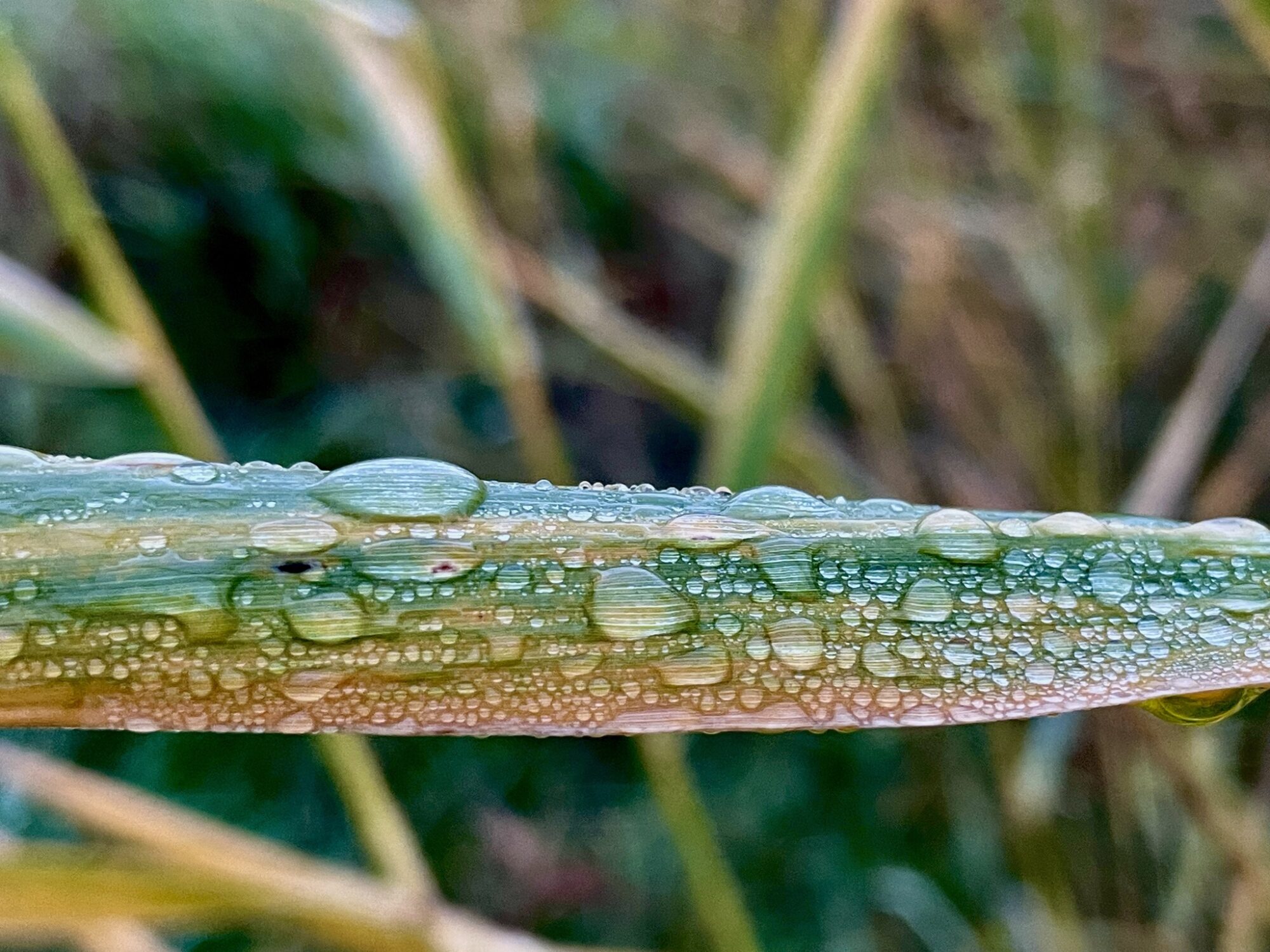 Valokuvaaja: Juhani Peltonen