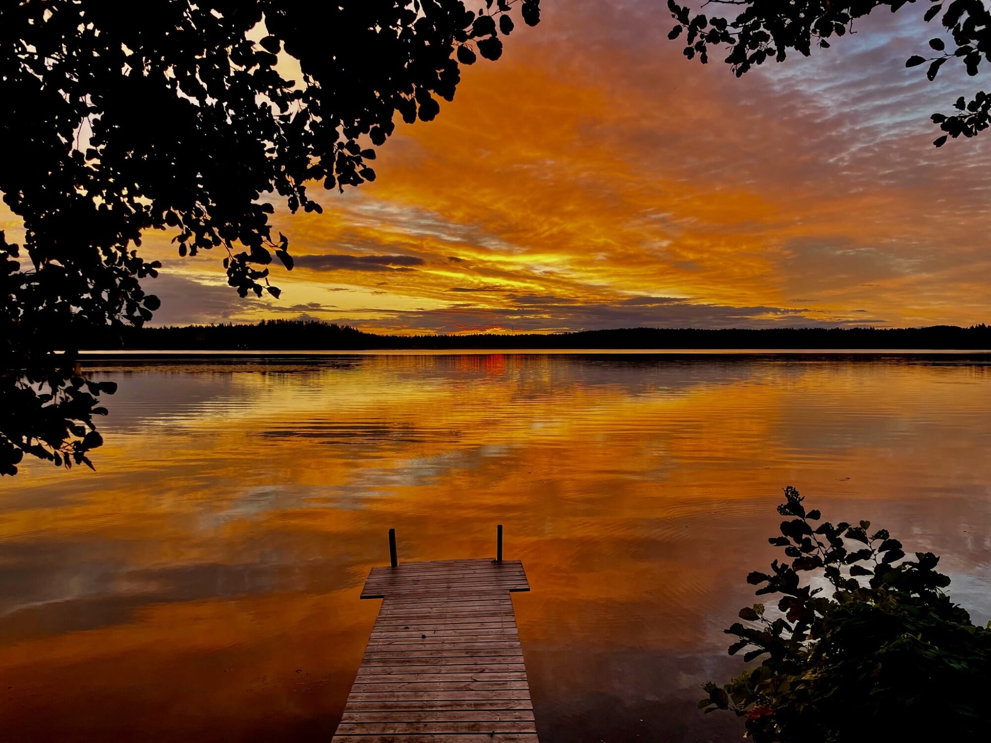 Valokuvaaja: Juhani Peltonen