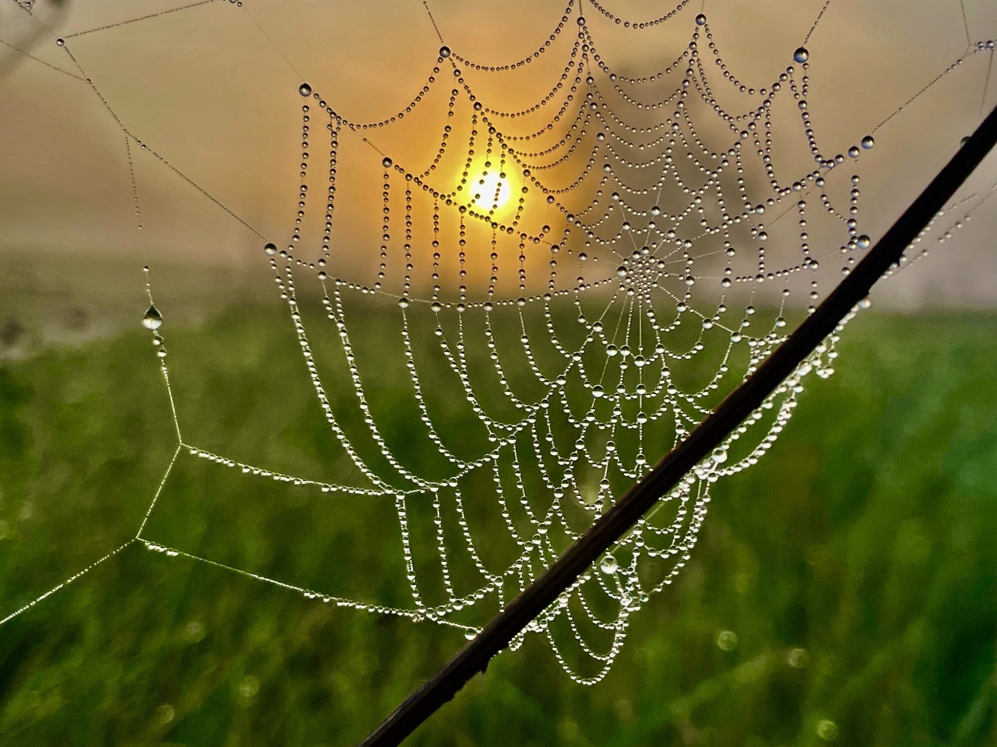 Valokuvaaja: Juhani Peltonen